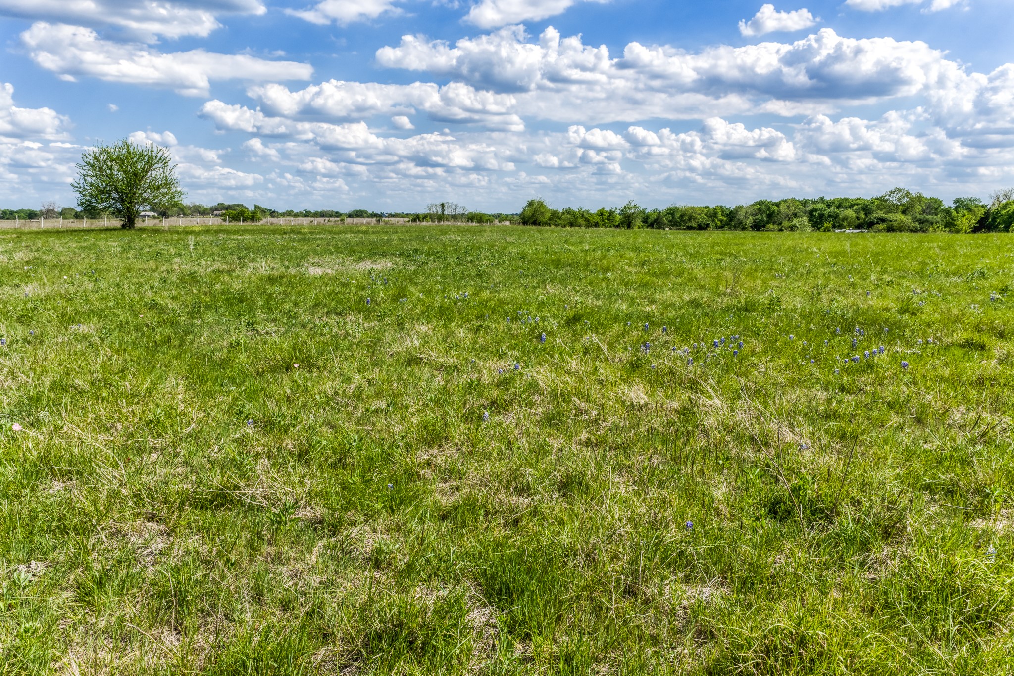 Tbd Krueger Road Washington, TX 77880 - Photo 10 of 26 a view of a big yard with lots of green space and mountain view