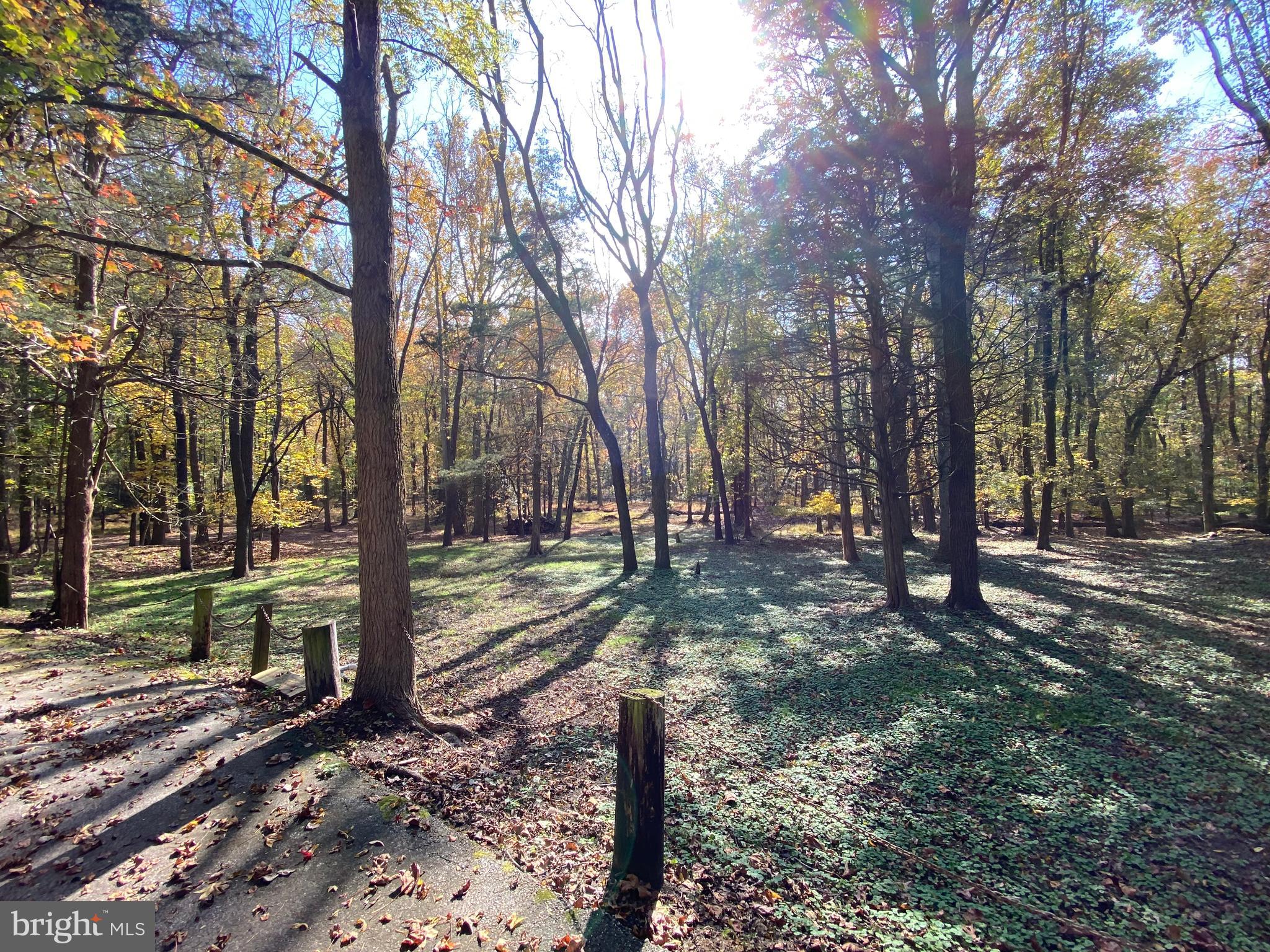 72 Little Mill Road Laurel Springs, NJ 08021 - Photo 11 of 20 Gallery Image 11