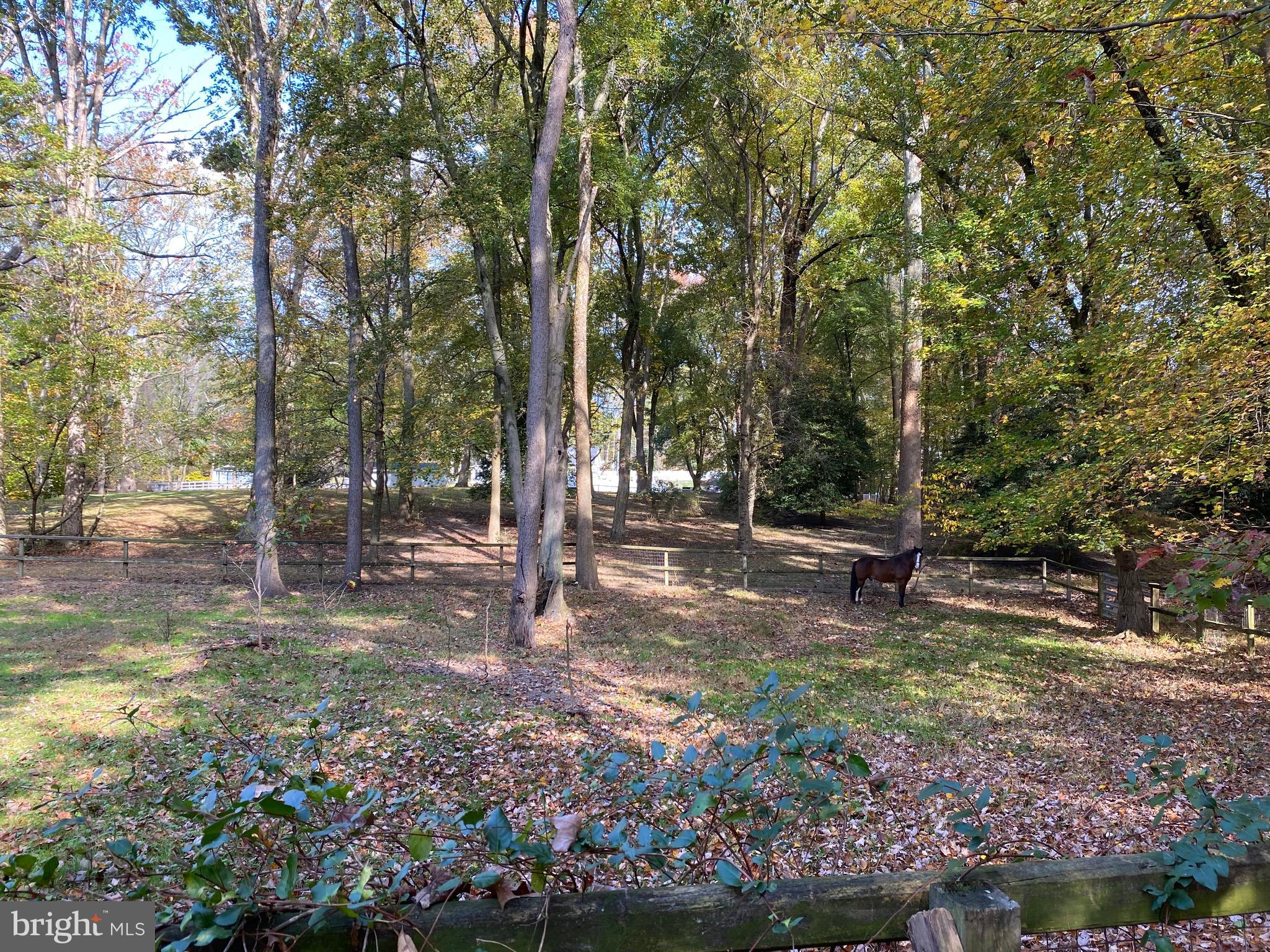 72 Little Mill Road Laurel Springs, NJ 08021 - Photo 17 of 20 Gallery Image 17