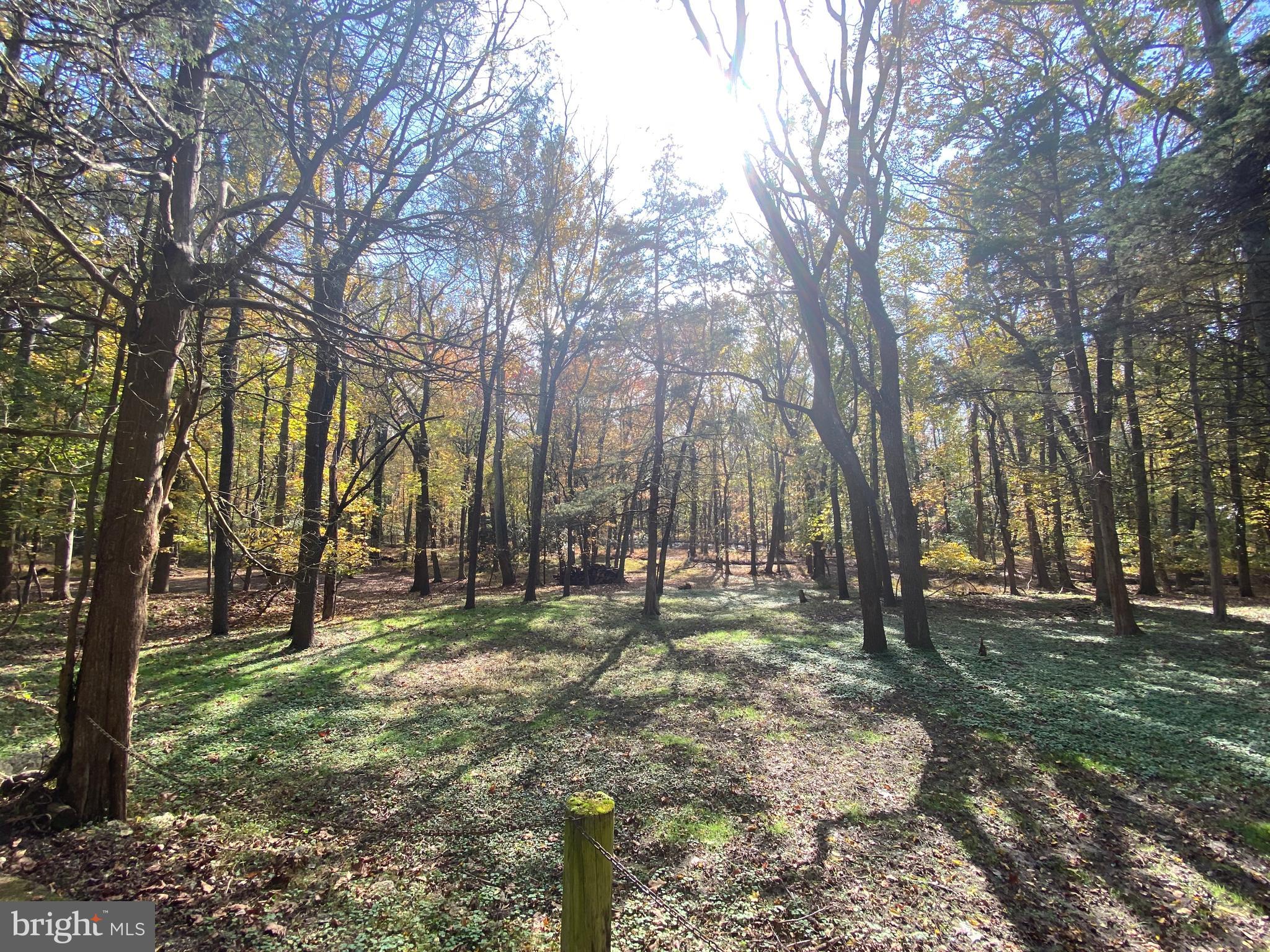 72 Little Mill Road Laurel Springs, NJ 08021 - Photo 20 of 20 Gallery Image 20