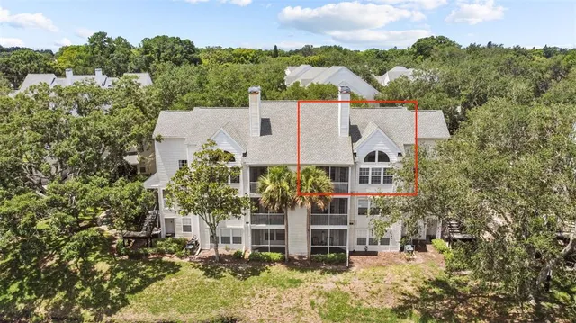 $1,750 | 3265 Haviland Court, Unit 302, Palm Harbor, FL 34684