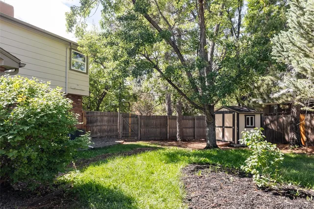 a view of a backyard with a potted plants and large tree