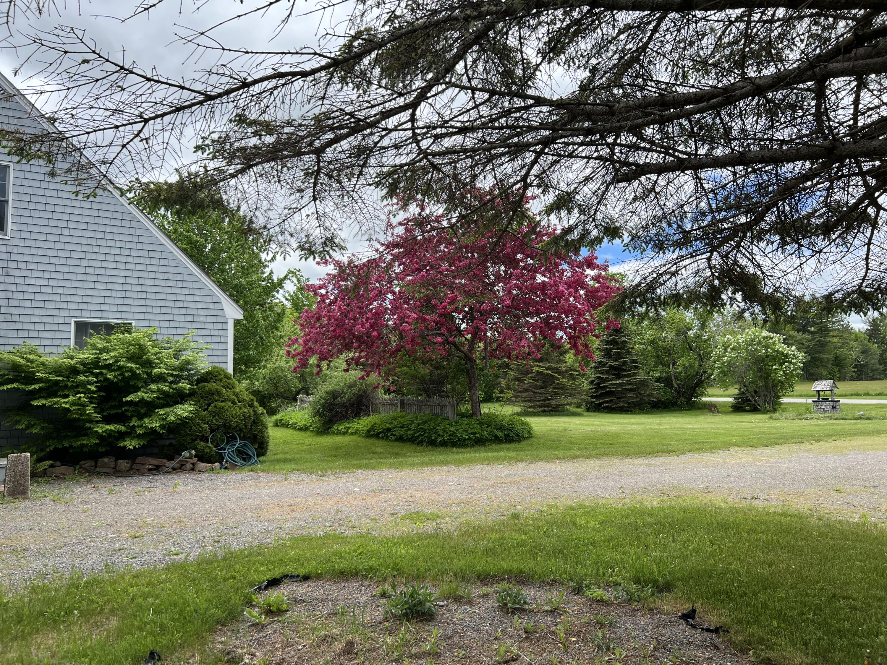 270 Shattuck Road Calais, ME 04619 - Photo 66 of 68 IMG_2122