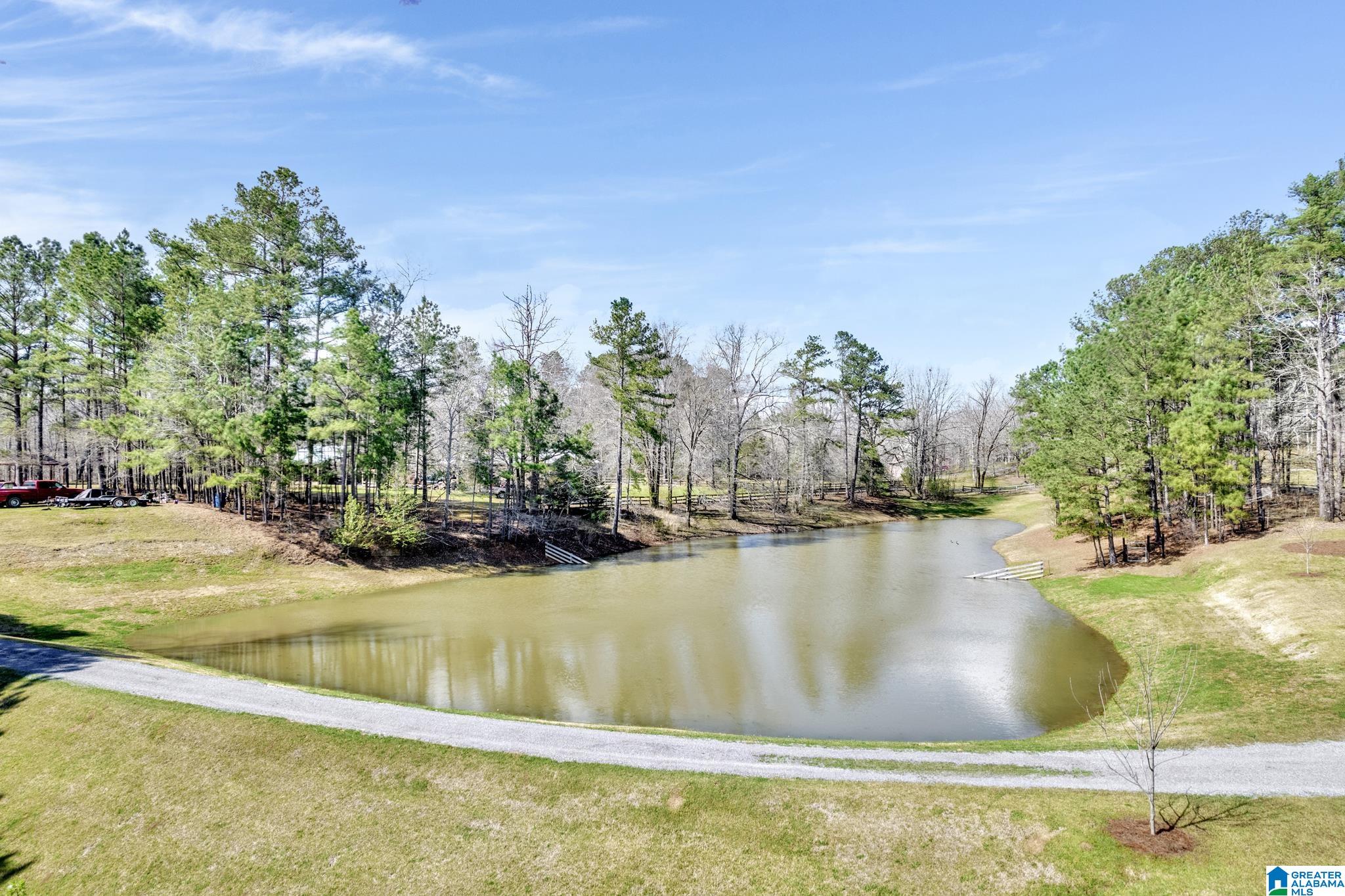 175 Skyview Trail Trafford, AL 35172 - Photo 49 of 50