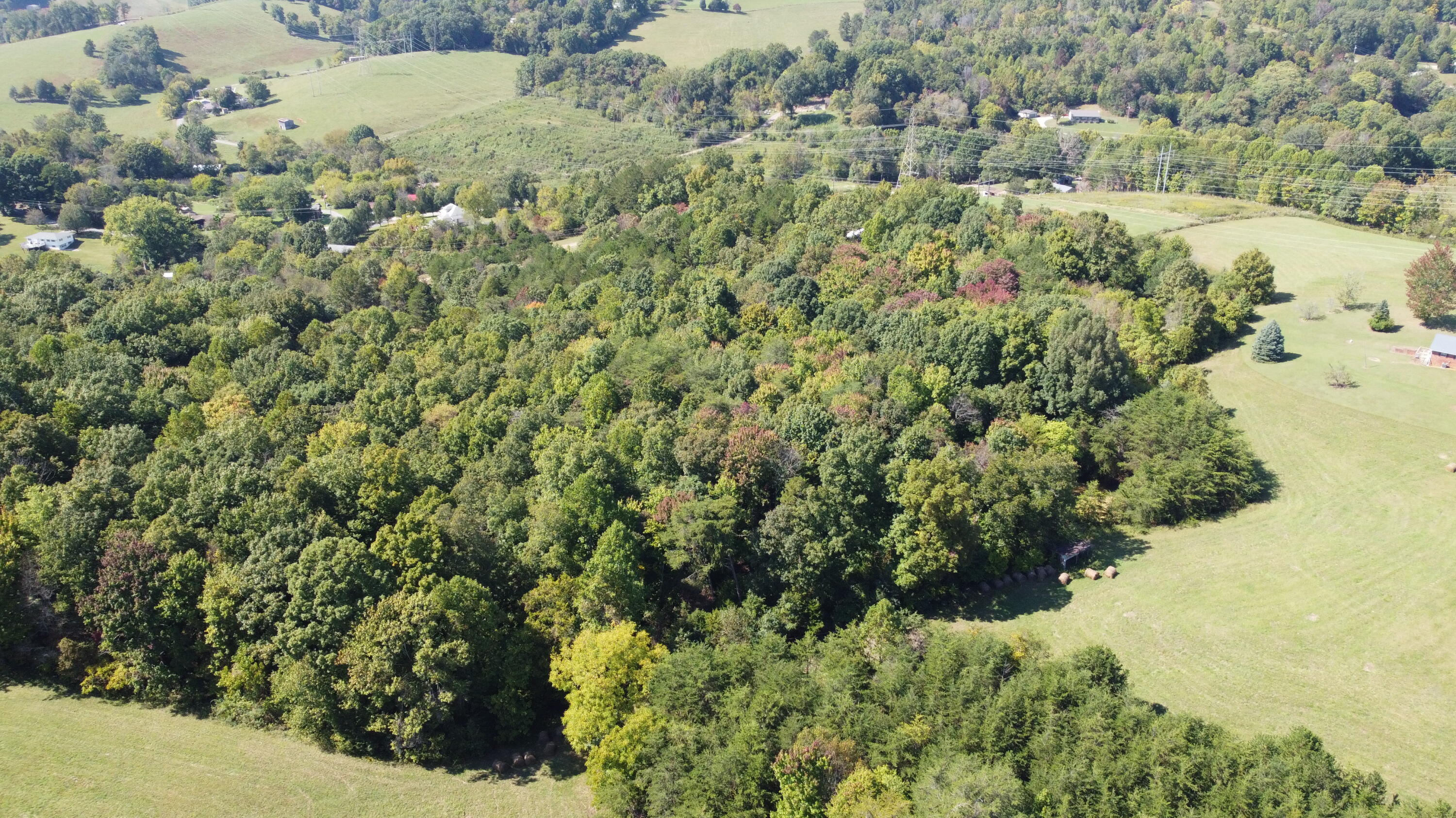 1672 Newman Hollow Road Bean Station, TN 37708 - Photo 50 of 114 DJI_0856