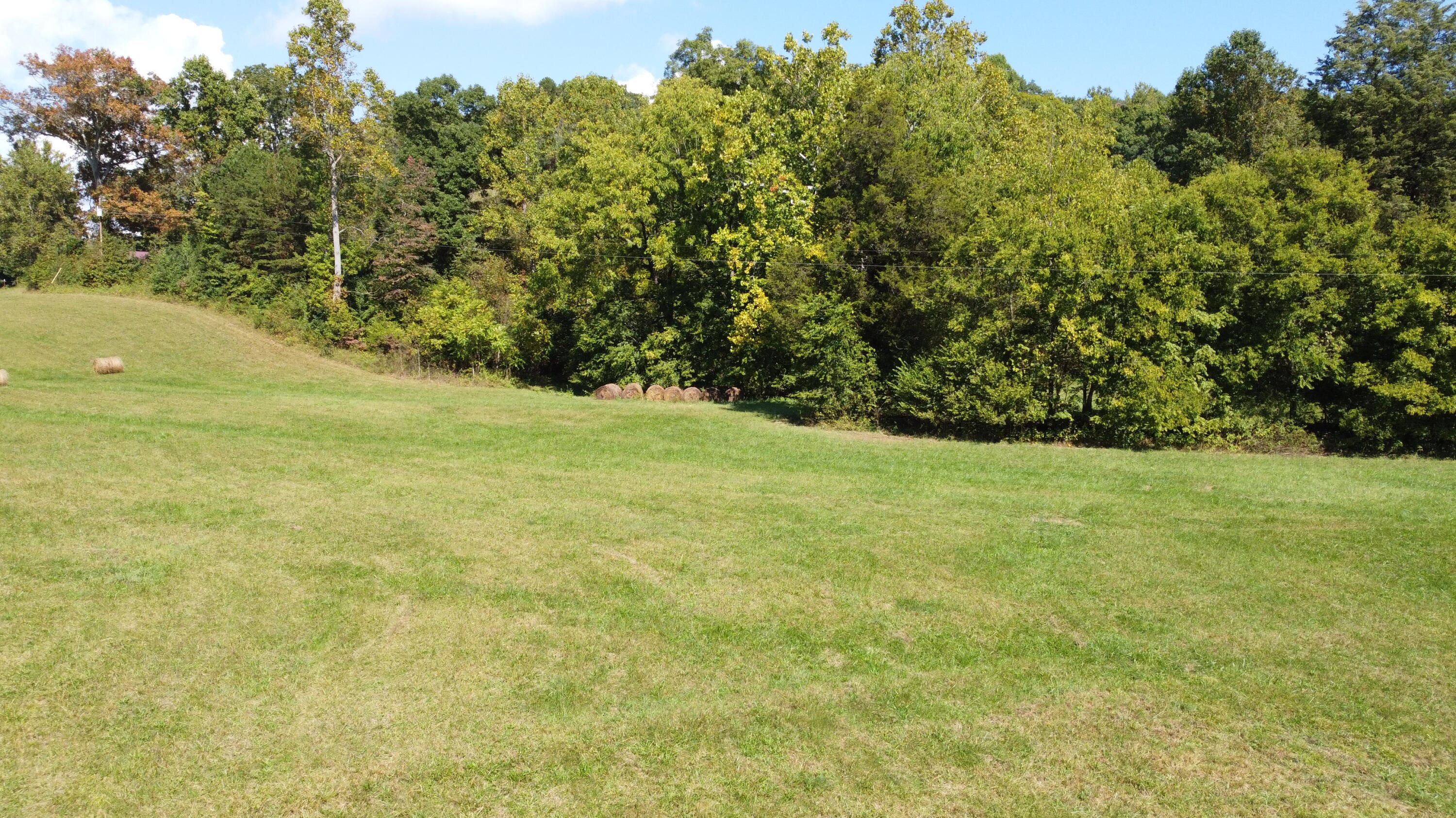 1672 Newman Hollow Road Bean Station, TN 37708 - Photo 86 of 114 DJI_0892