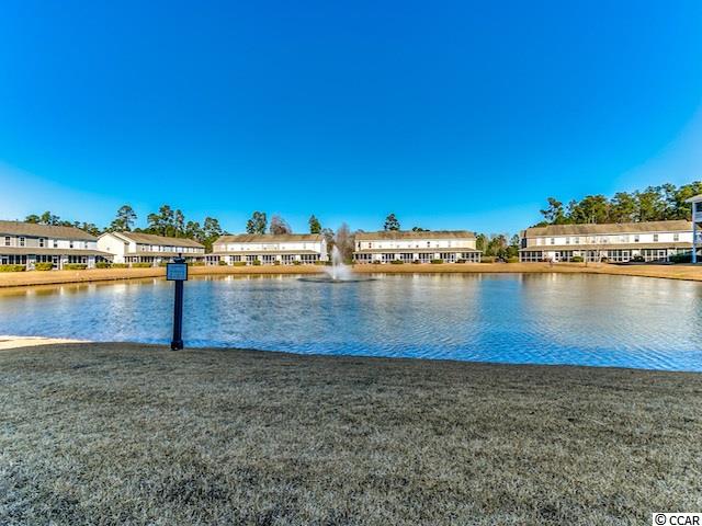 334 Kiskadee Loop, Unit L Conway, SC 29526 - Photo 21 of 28 Gallery Image 21