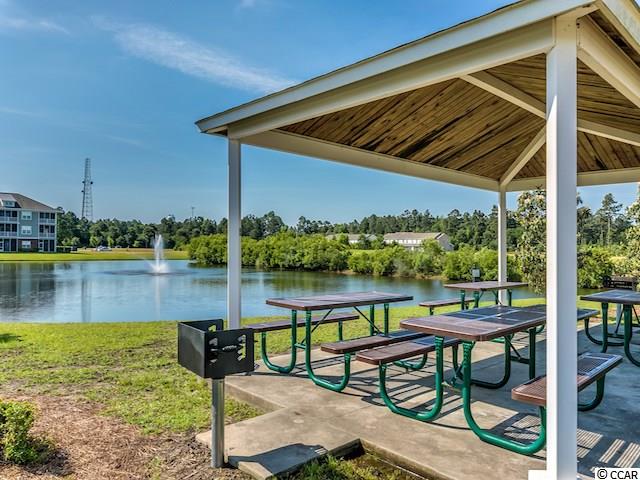 334 Kiskadee Loop, Unit L Conway, SC 29526 - Photo 26 of 28 Gallery Image 26