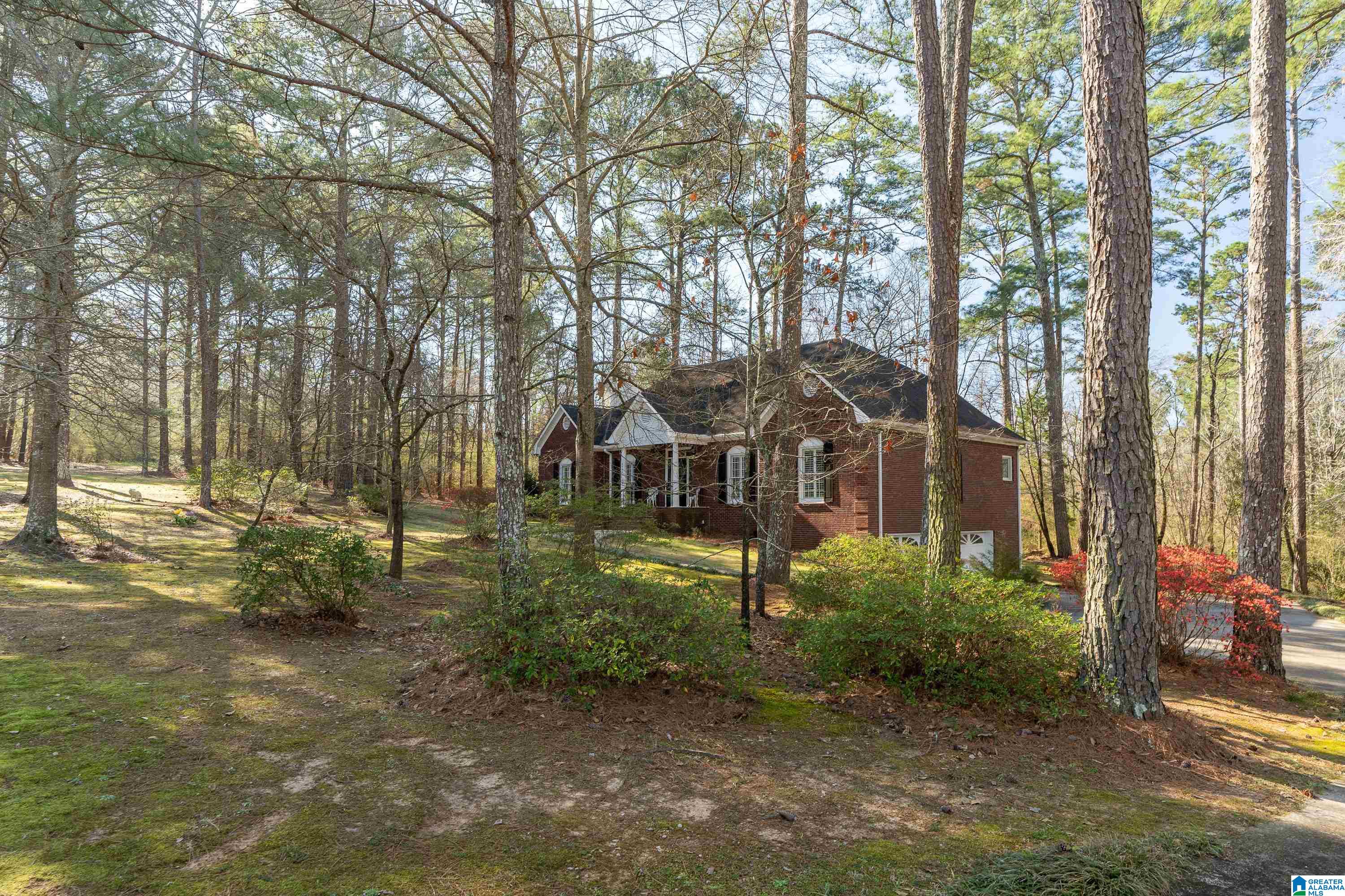 8970 Marsh Mountain Road Pinson, AL 35126 - Photo 2 of 48