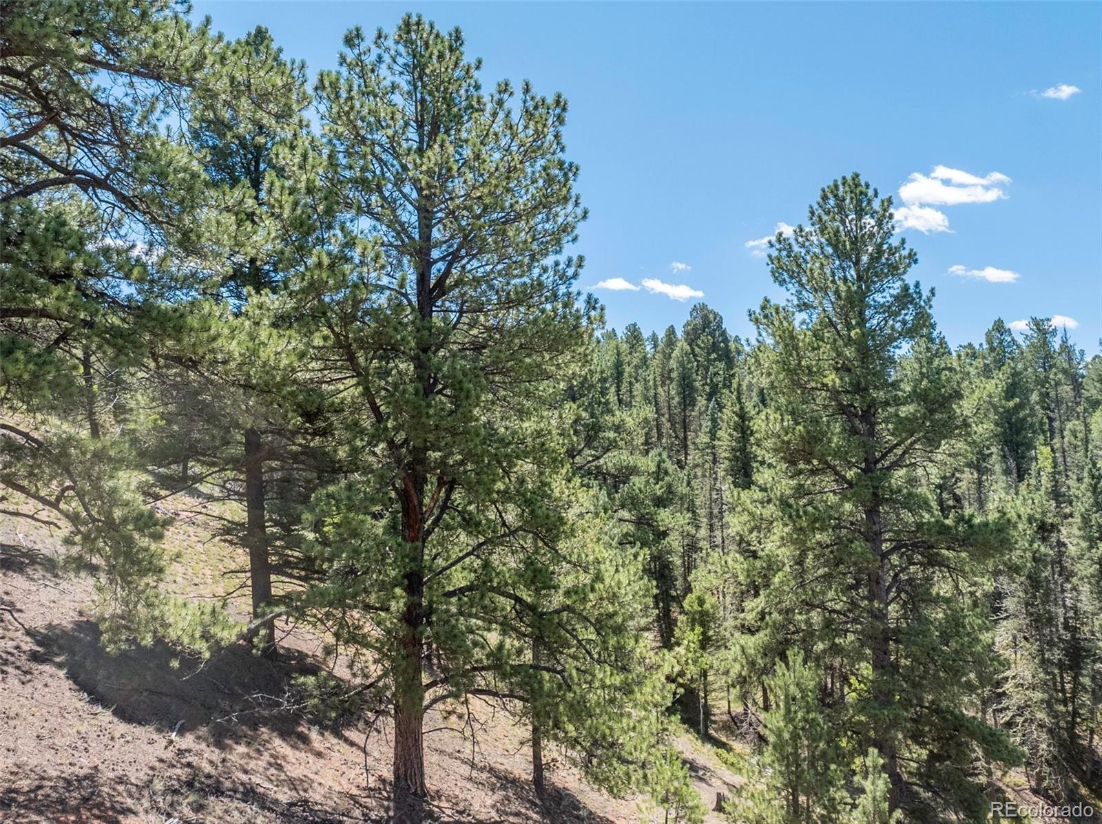 1676 Pathfinder Road Florissant, CO 80816 - Photo 26 of 32 Gallery Image 26
