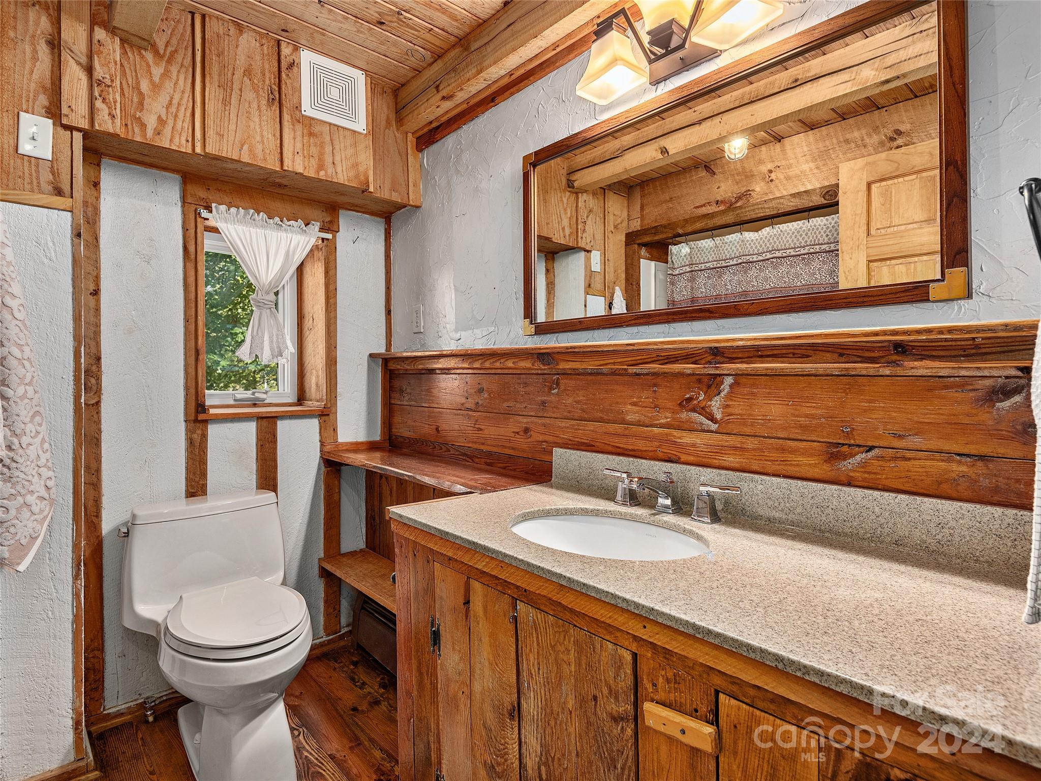 2560 King Road Pisgah Forest, NC 28768 - Photo 11 of 44 a bathroom with a sink a toilet and a mirror
