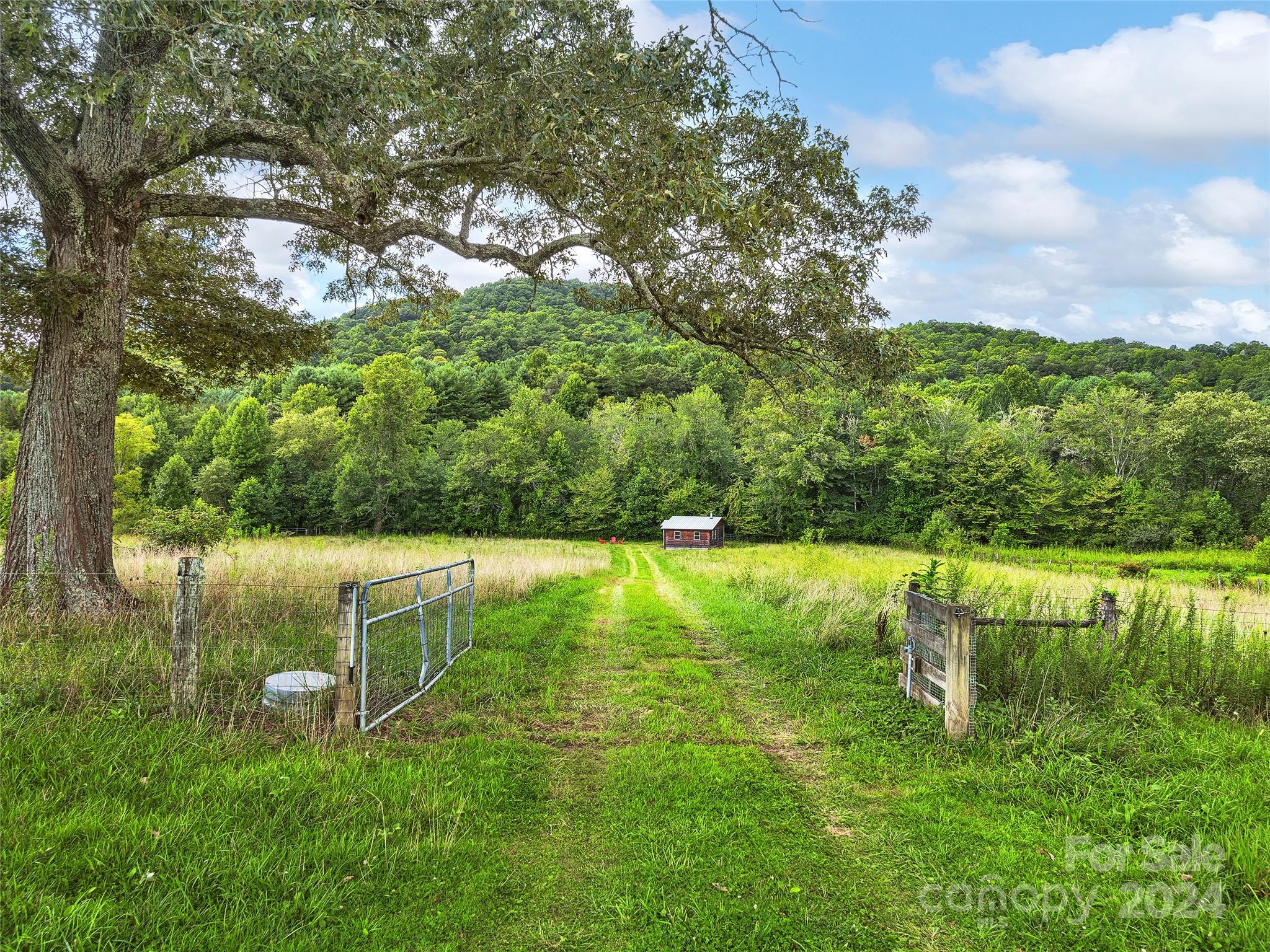 2560 King Road Pisgah Forest, NC 28768 - Photo 38 of 44 a view of a lake with a yard