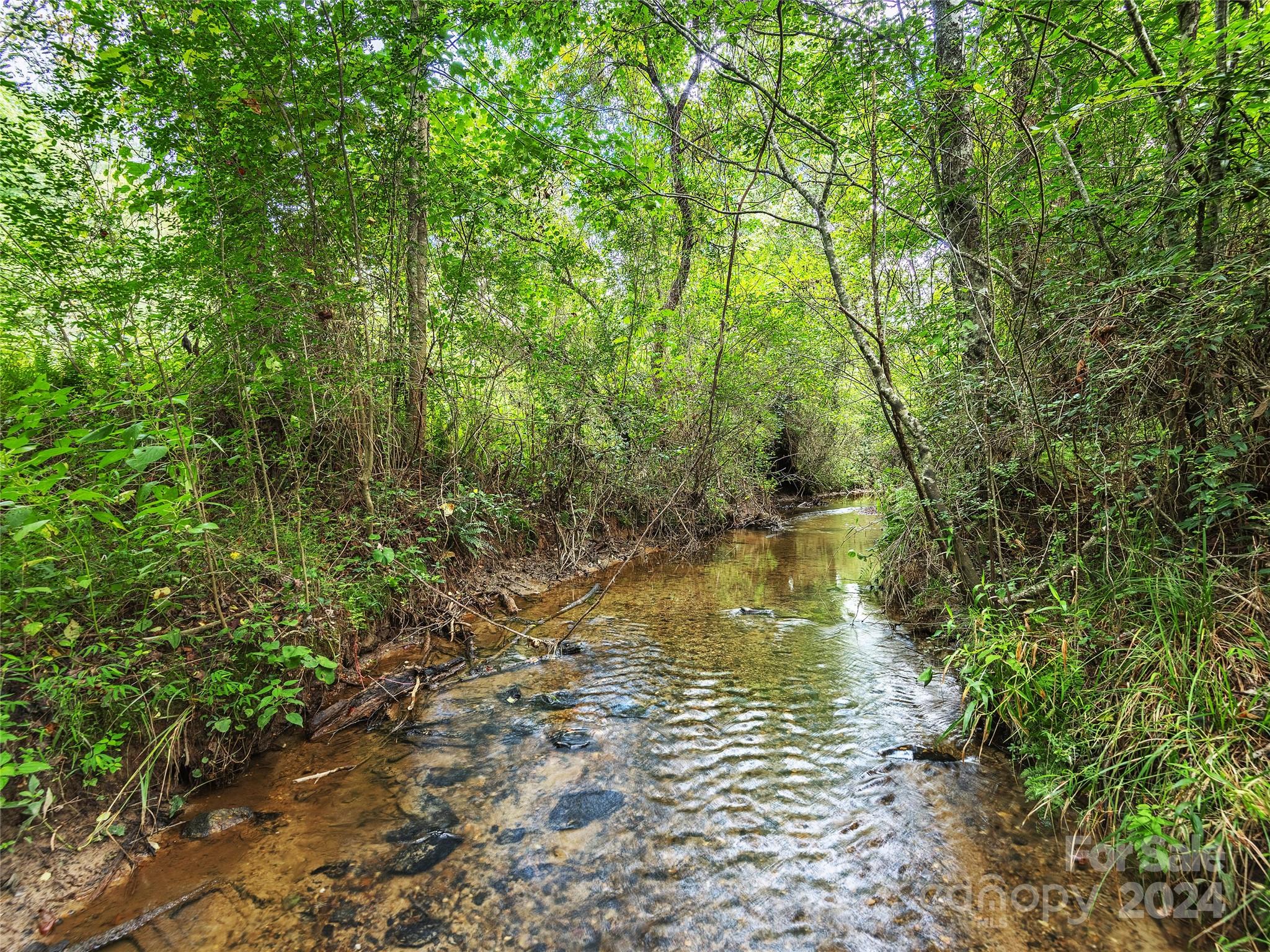 2560 King Road Pisgah Forest, NC 28768 - Photo 42 of 44 a view of a lake view