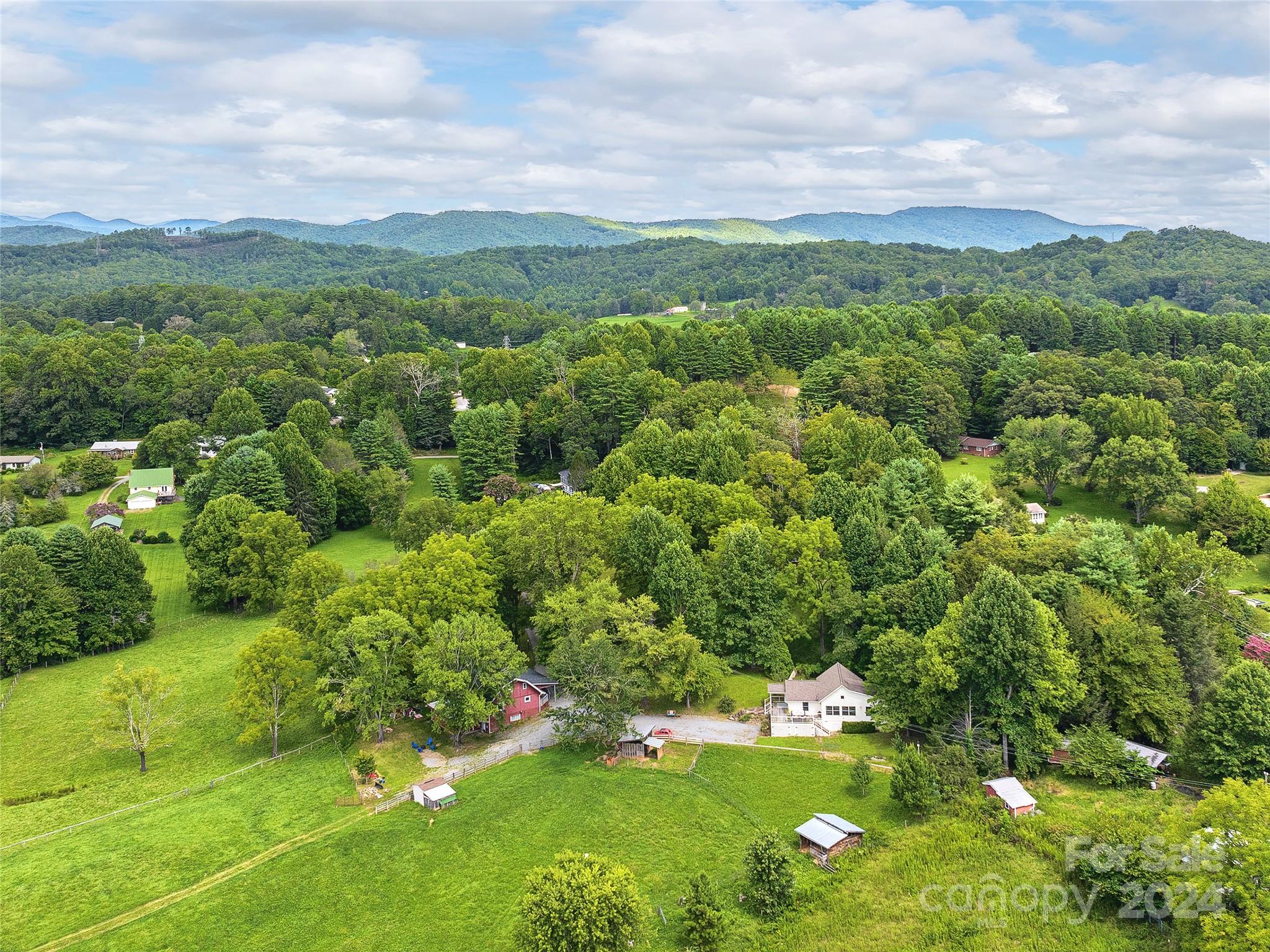 2560 King Road Pisgah Forest, NC 28768 - Photo 43 of 44 a view of a green field with lots of bushes