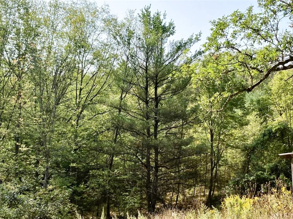 Welcome to your hunting grounds, your hiking and r