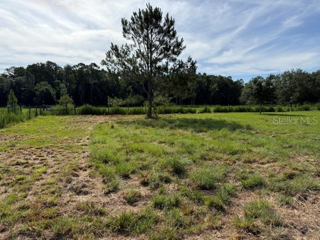 7214 Oil Well Road Clermont, FL 34714 - Photo 2 of 16 a view of field with trees in the background