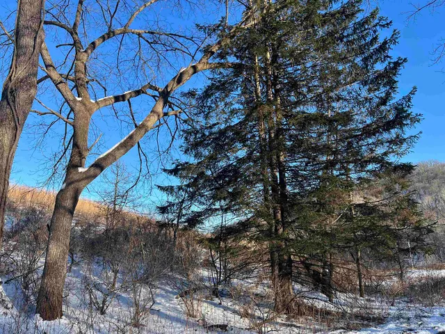 $117,400 | 49480 Iris Drive, Gays Mills, WI 54631