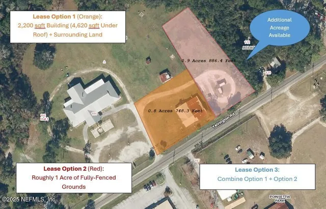 view of a painting on the wall