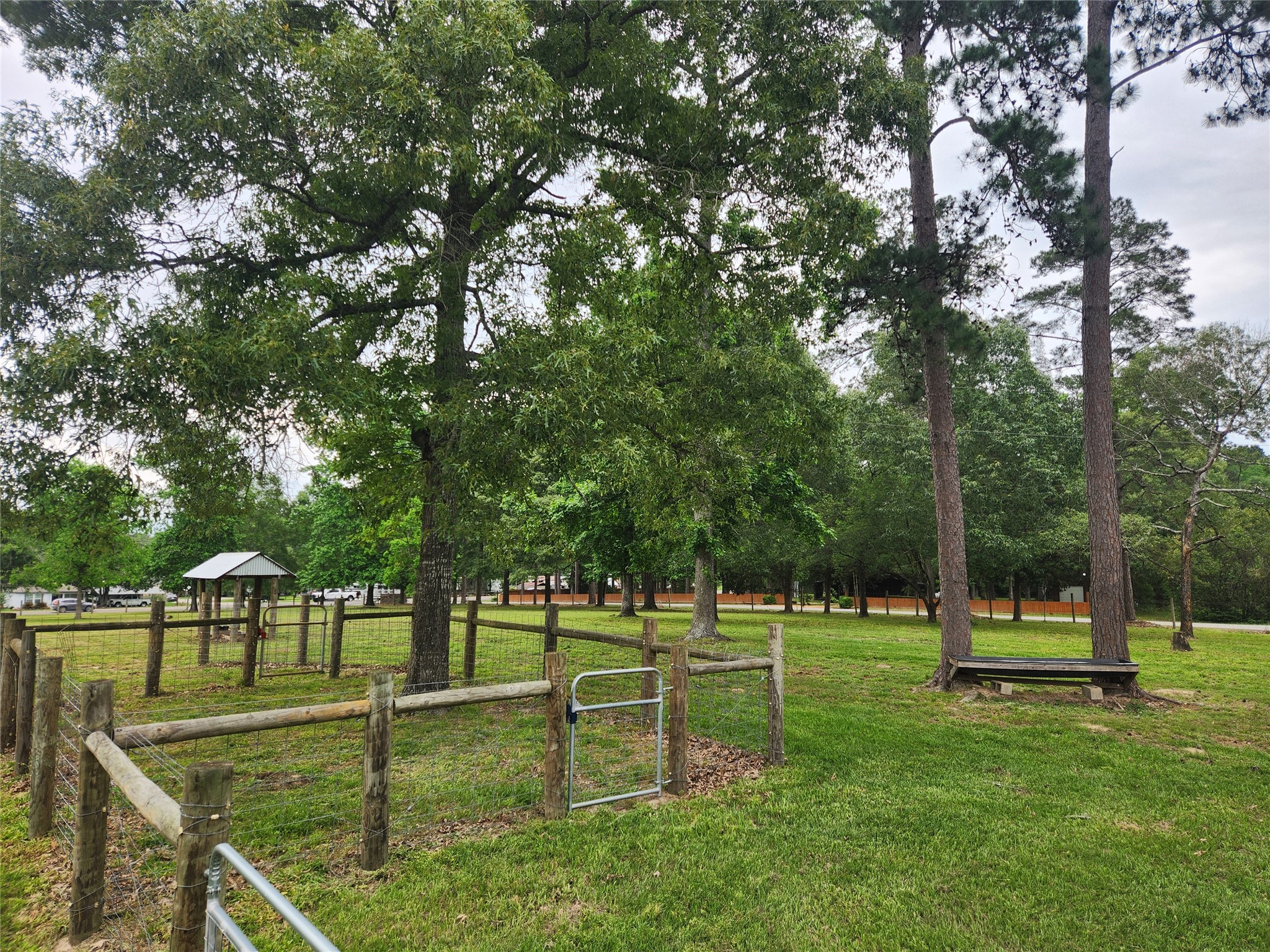 1810 State Highway 150 Coldspring, TX 77331 - Photo 5 of 28 a view of a park with large trees