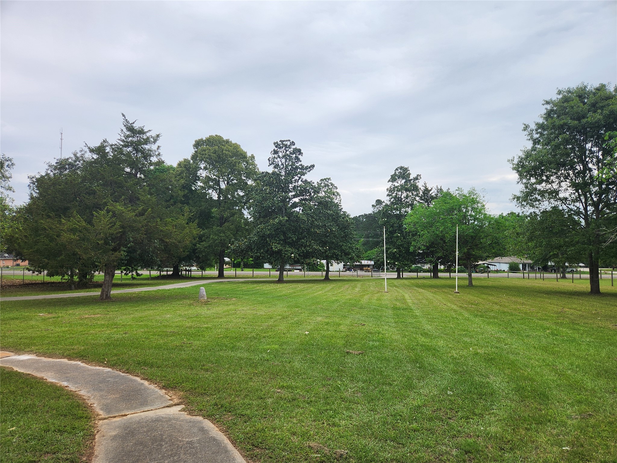 1810 State Highway 150 Coldspring, TX 77331 - Photo 6 of 28 a view of a big yard with a large trees