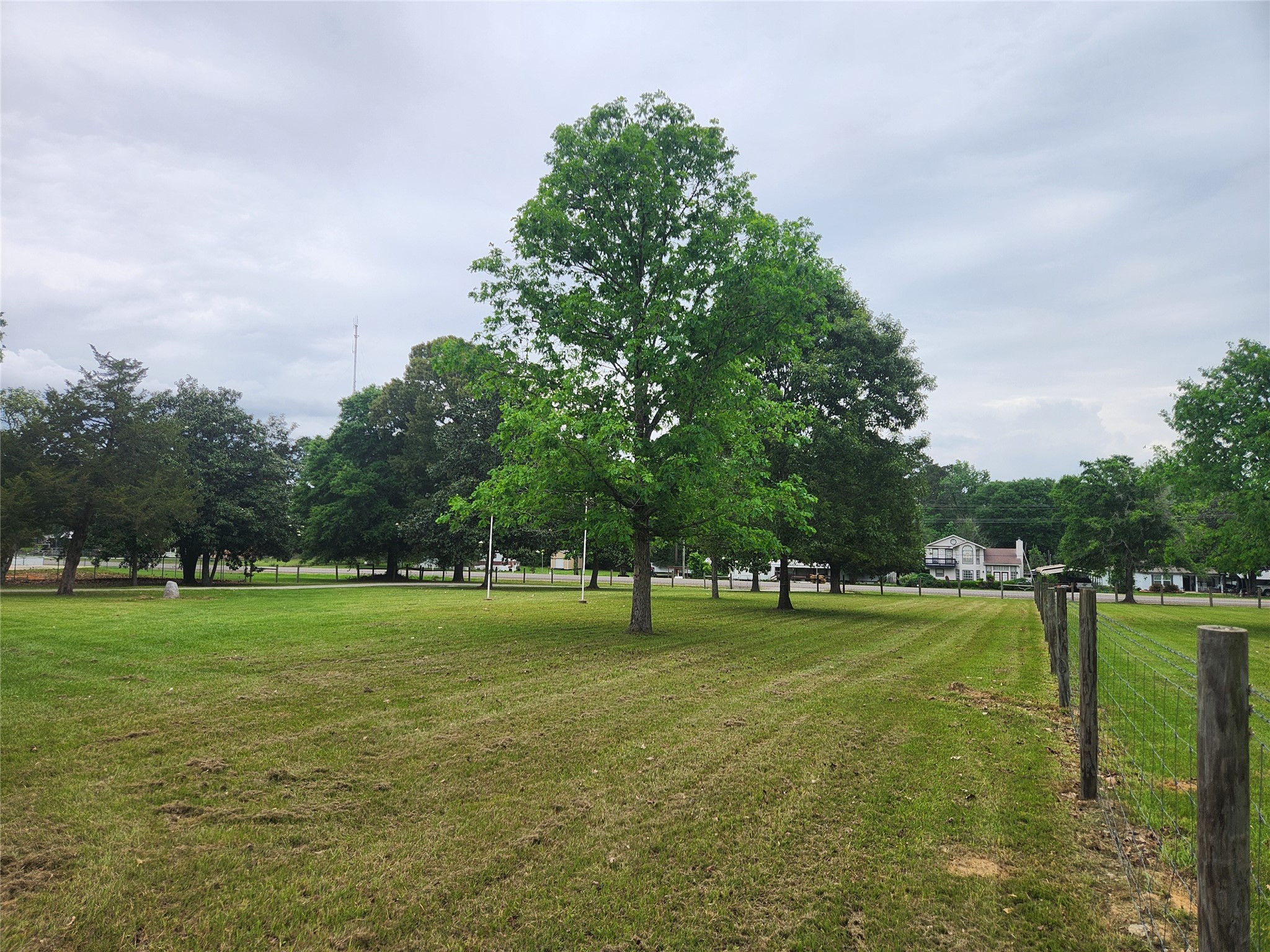 1810 State Highway 150 Coldspring, TX 77331 - Photo 7 of 28 a view of a large trees with a big yard