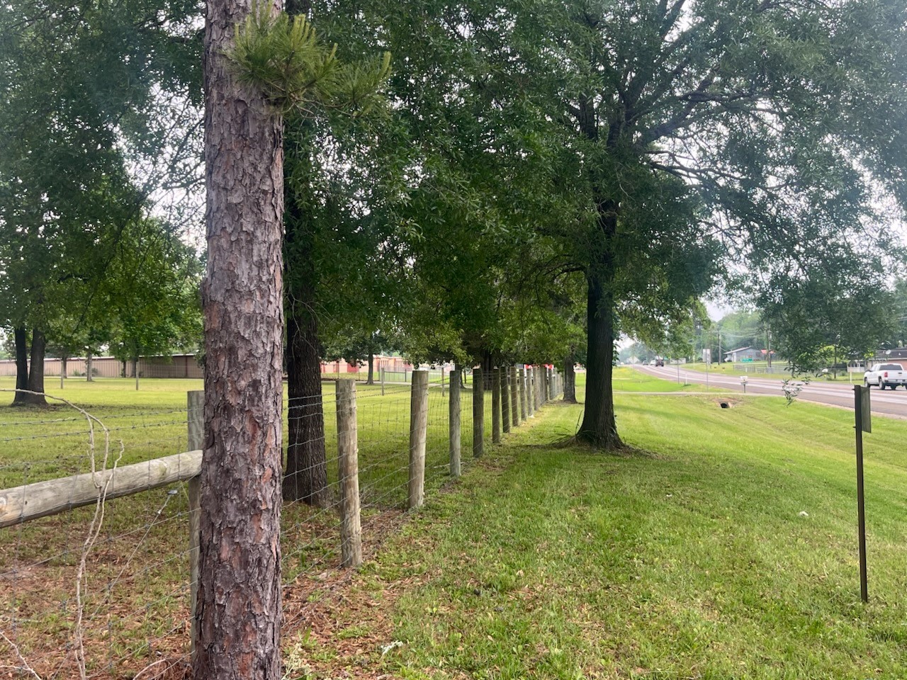 1810 State Highway 150 Coldspring, TX 77331 - Photo 10 of 28 a view of outdoor space
