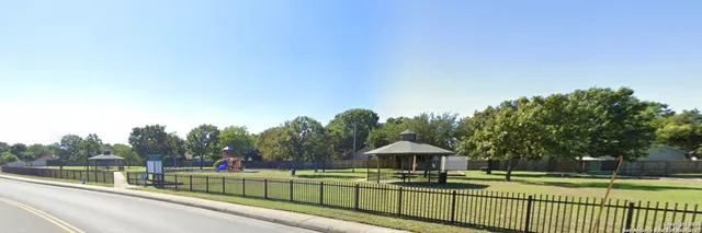 a view of a park with plants and trees