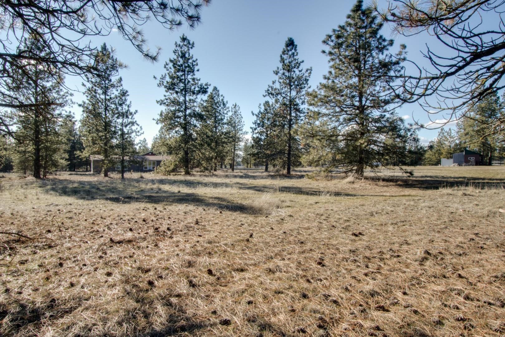 23135 South Malloy Prairie Road Cheney, WA 99004 - Photo 36 of 40