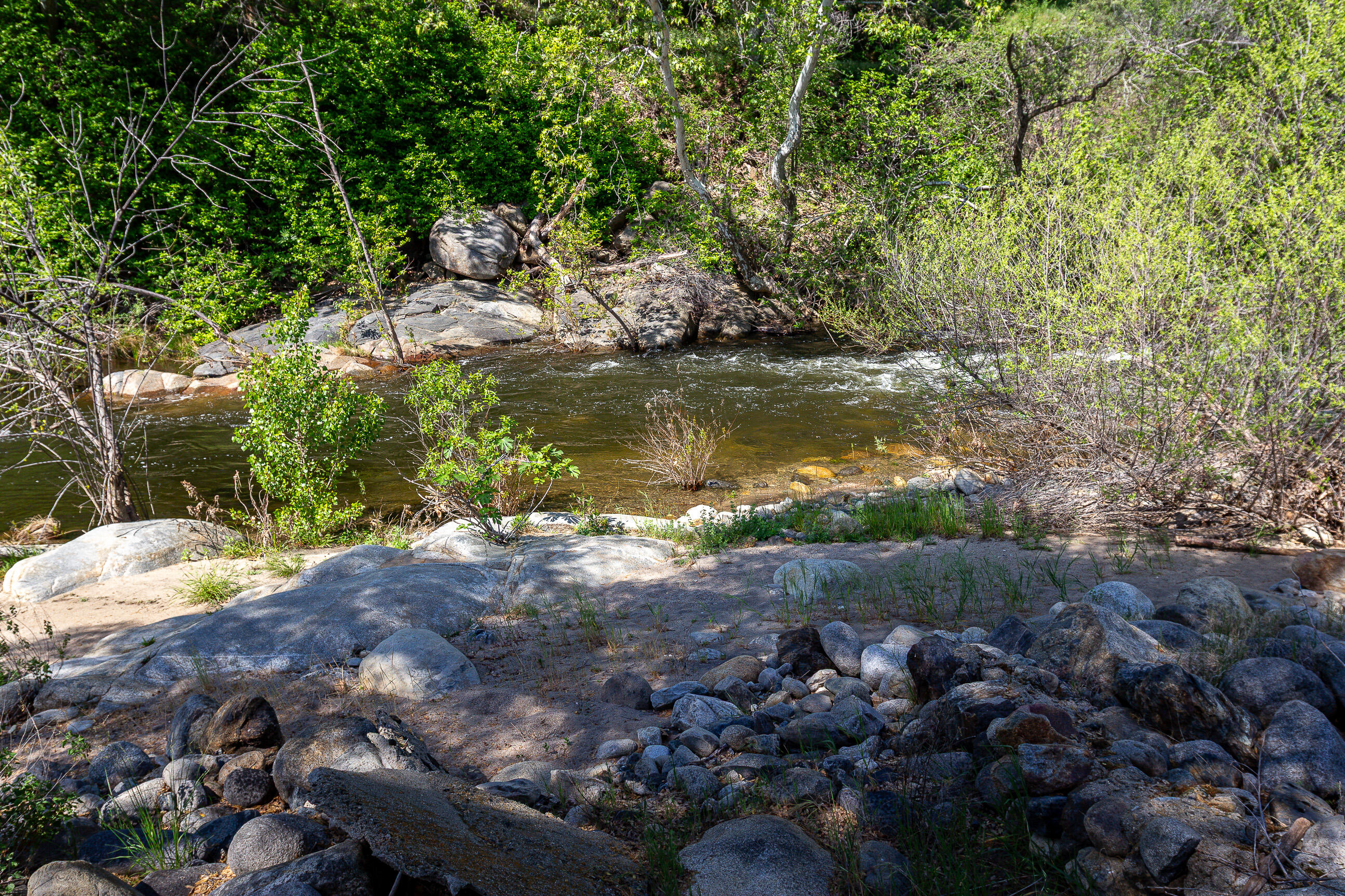 44335 North Fork Three Rivers, CA 93271 - Photo 31 of 53 IMG_1576
