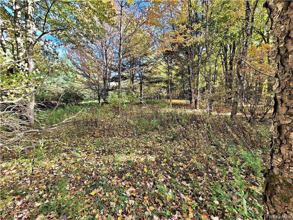 Lot 5.4 Kaufman Road Monticello, NY 12701 - Photo 35 of 45