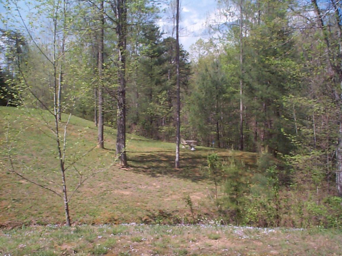 1399 Old State Road Wellington, KY 40387 - Photo 30 of 30 Photo 30