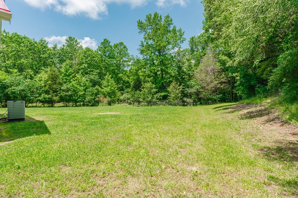 2963 Buttermilk Road St. Charles, KY 42453 - Photo 27 of 28 Gallery Image 27