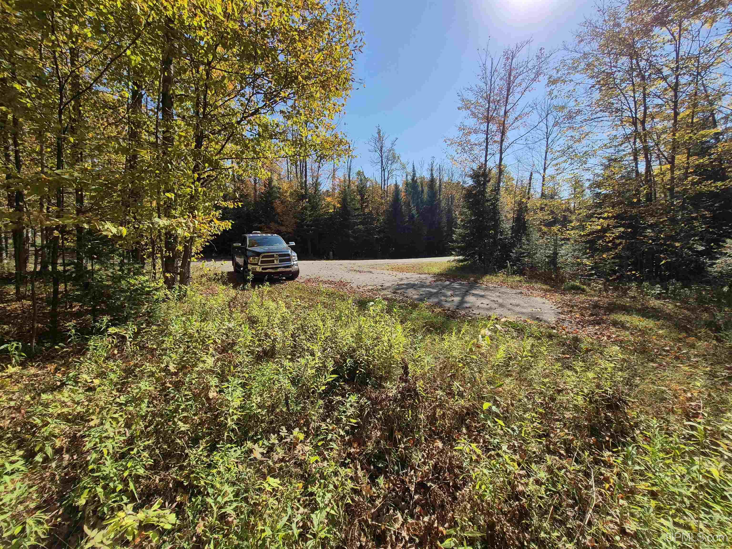 40-acres Mattson Road Felch, MI 49831 - Photo 3 of 45 Gallery Image 3