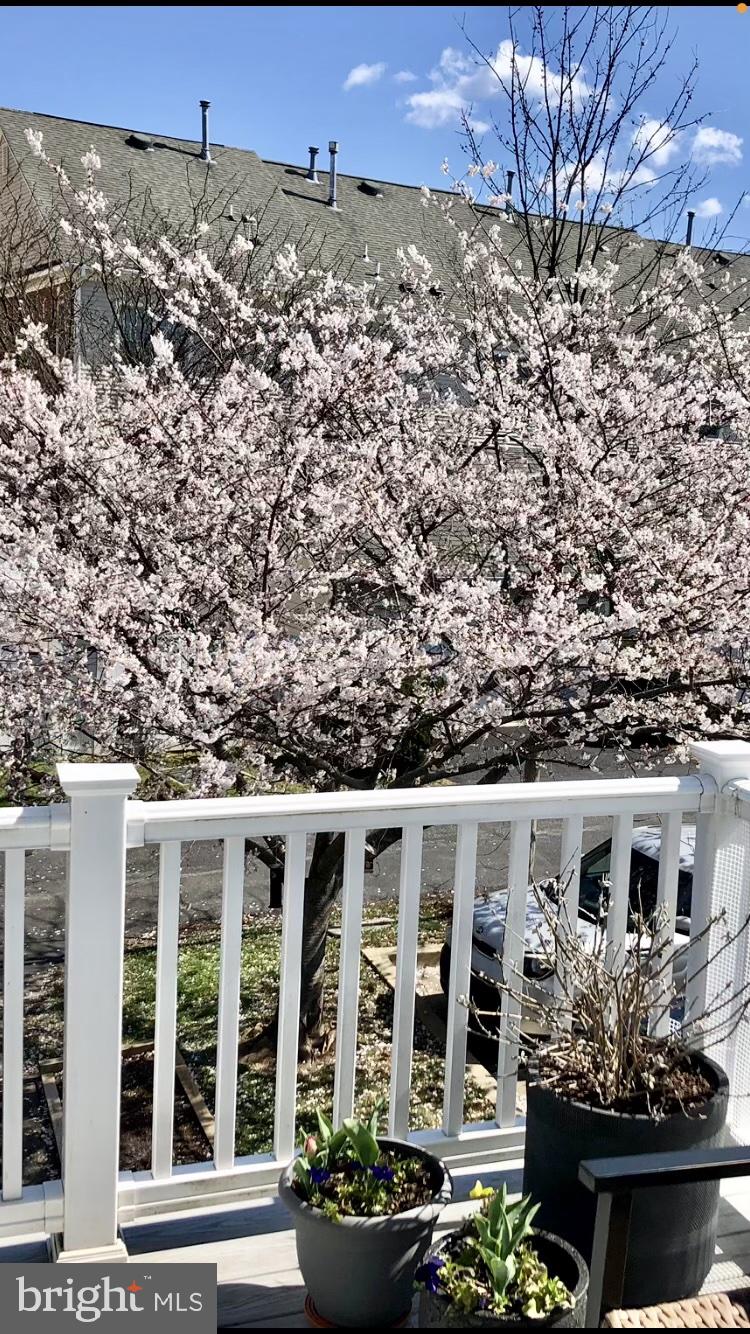 1023 Gaither Road Rockville, MD 20850 - Photo 60 of 62