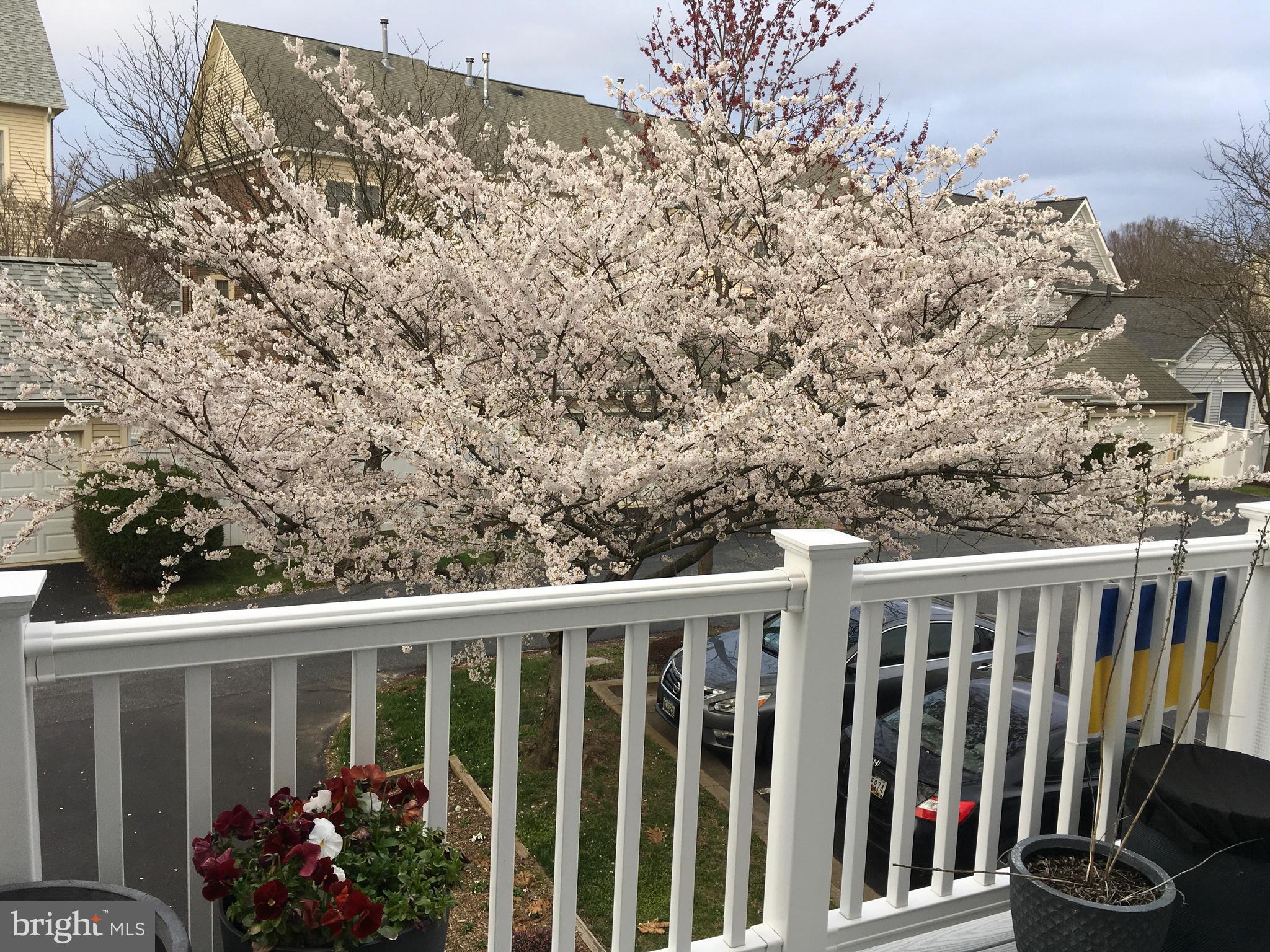 1023 Gaither Road Rockville, MD 20850 - Photo 61 of 62