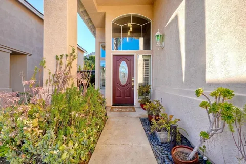 a potted plant sitting in front of a door