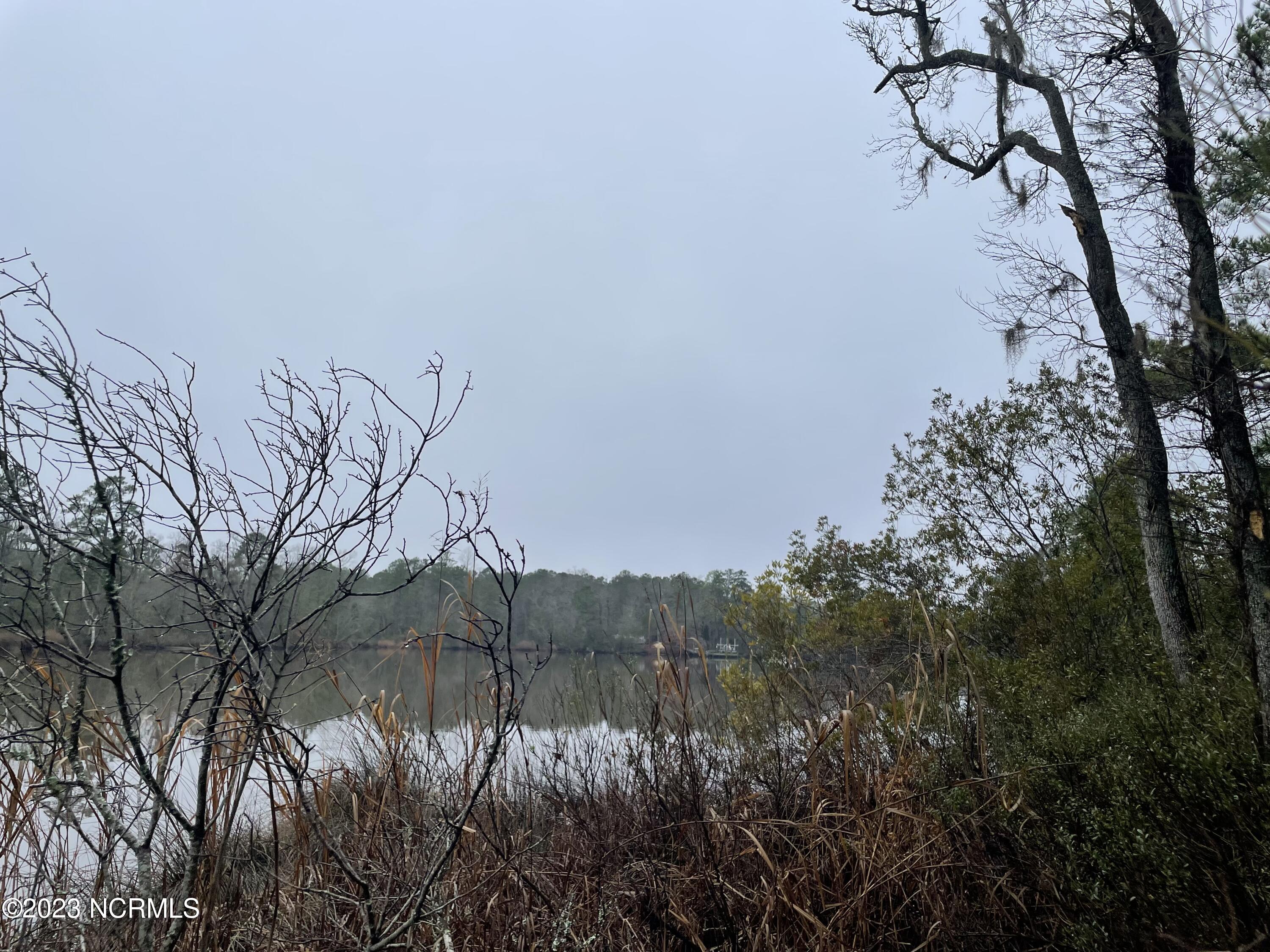 Lot C Off Bath, NC 27808 - Photo 3 of 4 IMG-7888