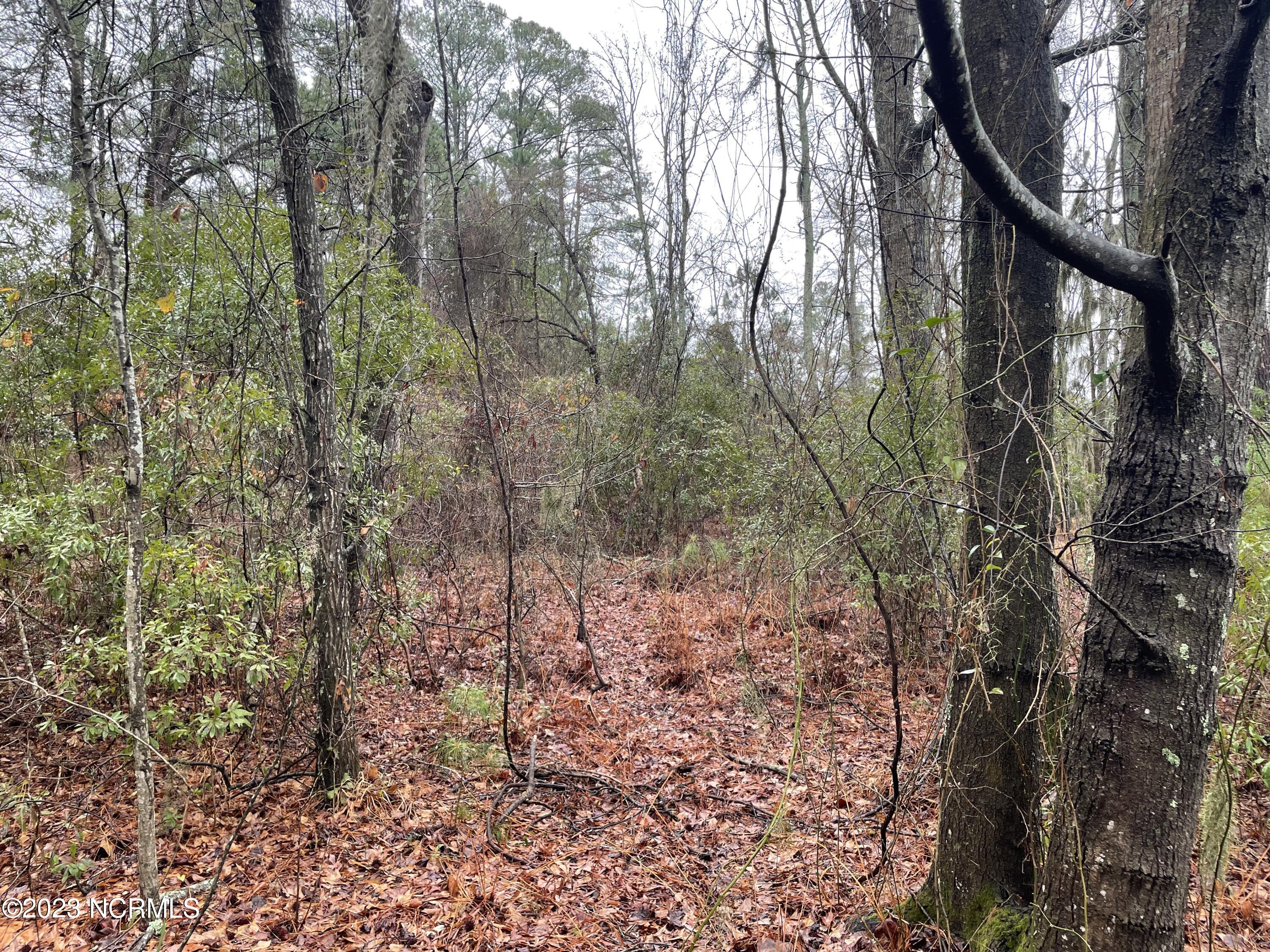 Lot C Off Bath, NC 27808 - Photo 4 of 4 IMG-7889