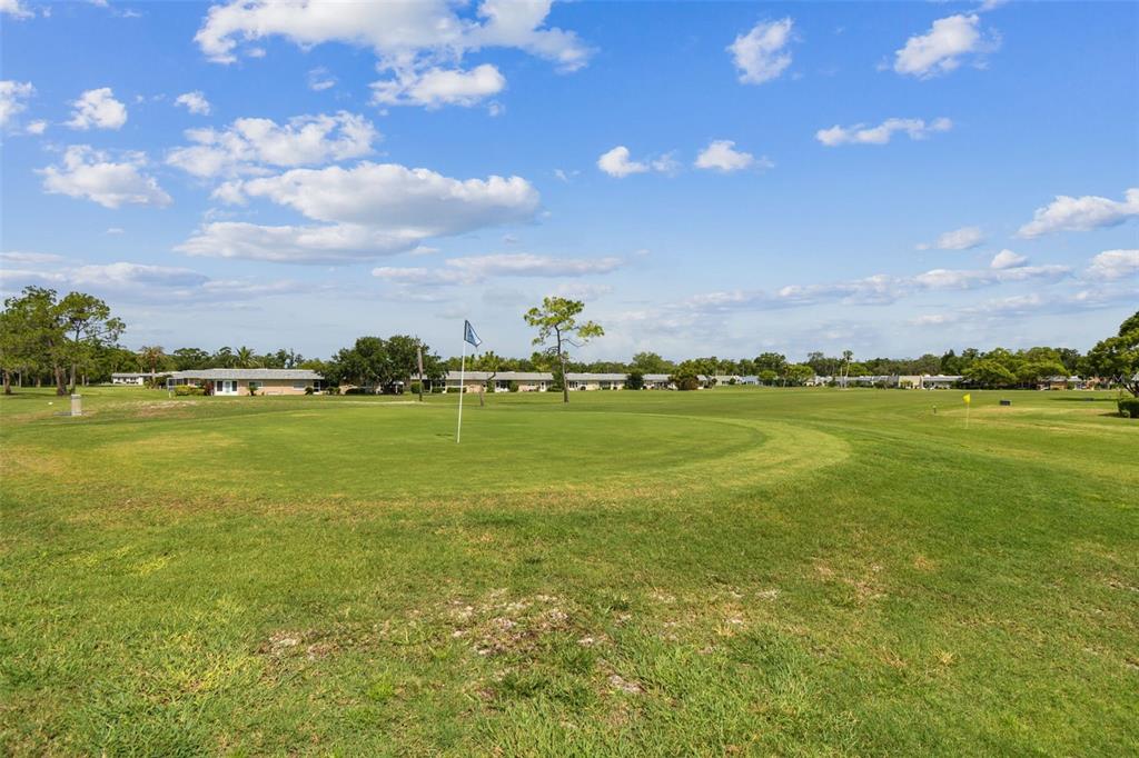 3745 Teeside Drive, Unit 3745 New Port Richey, FL 34655 - Photo 24 of 34 a view of a large pool with lawn chairs and large tree