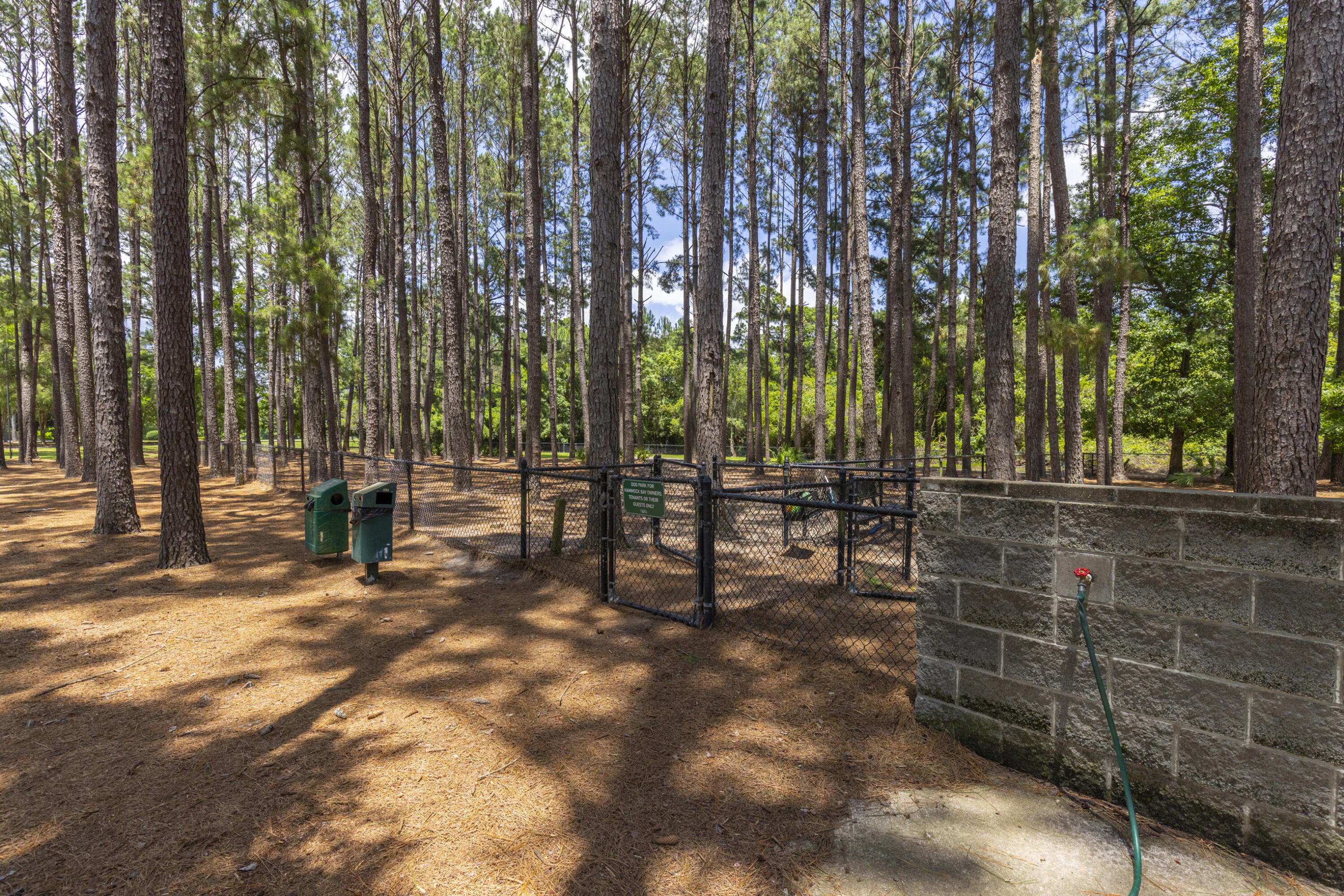 236 Revana Way Freeport, FL 32439 - Photo 75 of 96 Canine Commons Dog Park