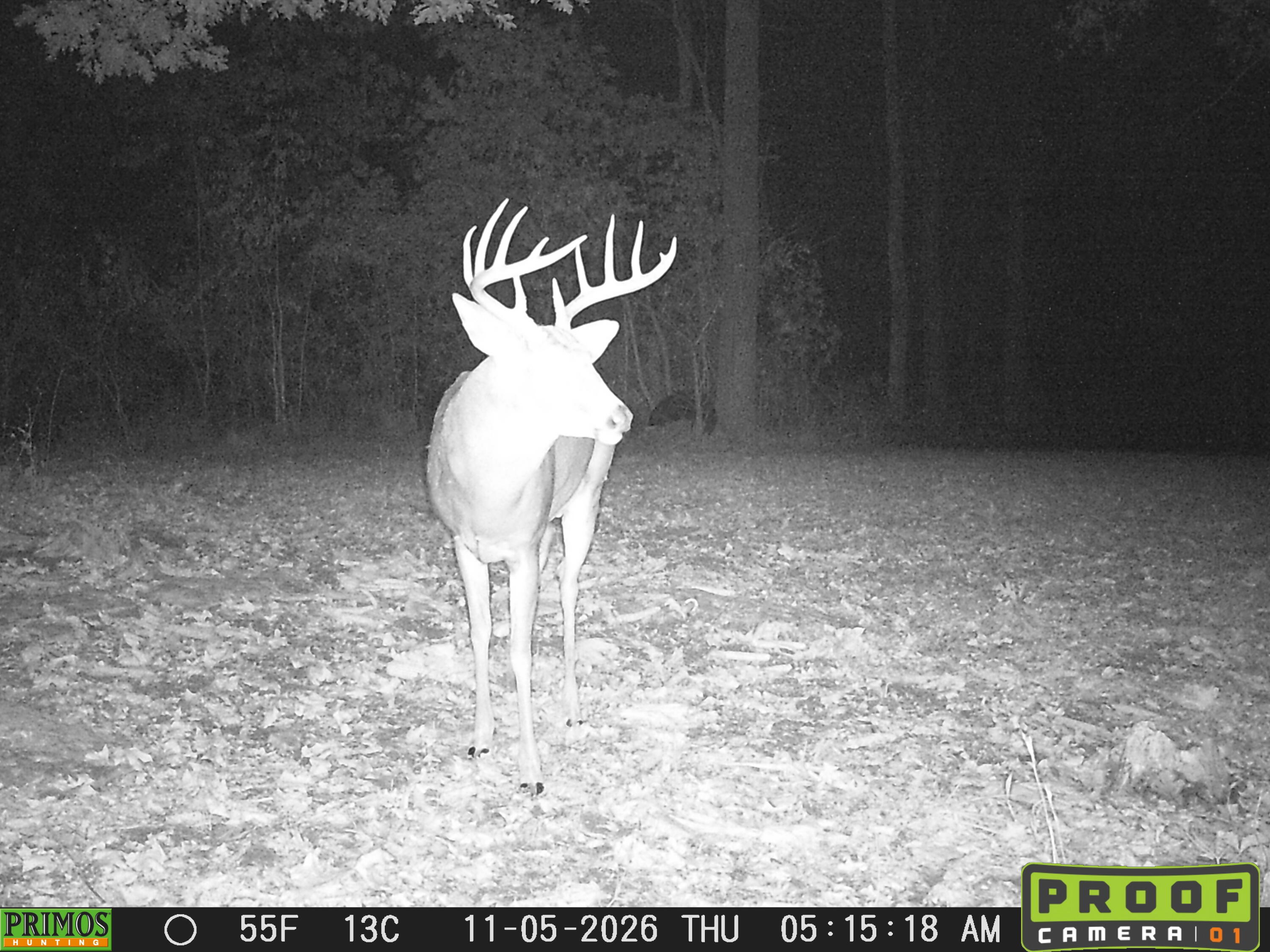 248 Sulphur Lick Road Frankfort, KY 40601 - Photo 49 of 50