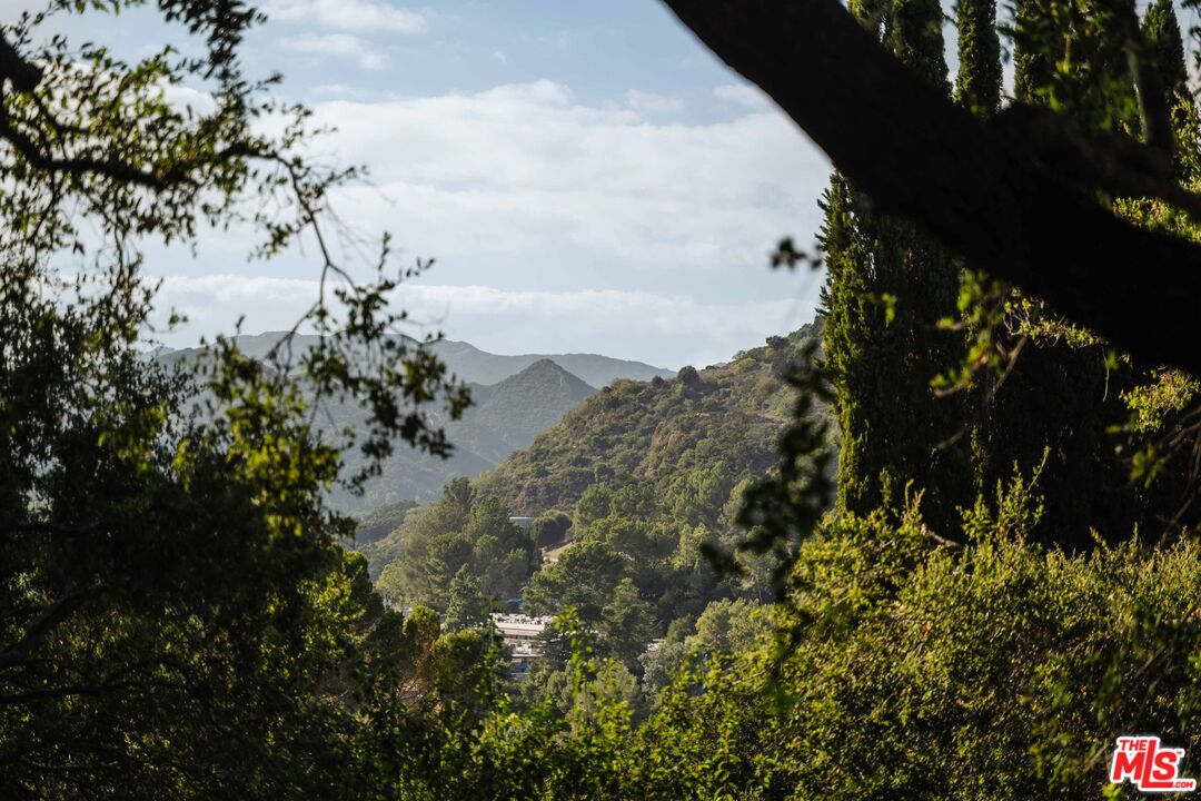 21580 Encina Road Topanga, CA 90290 - Photo 16 of 38 a view of a tree
