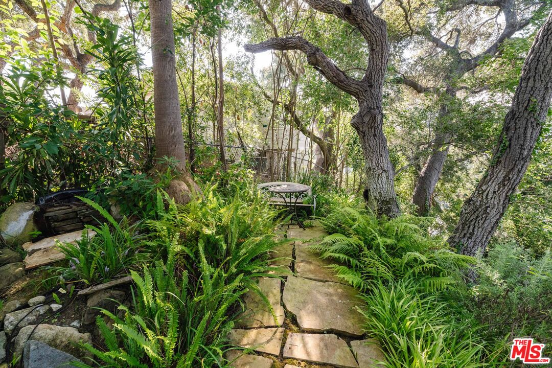 21580 Encina Road Topanga, CA 90290 - Photo 37 of 38 a plant view in yard