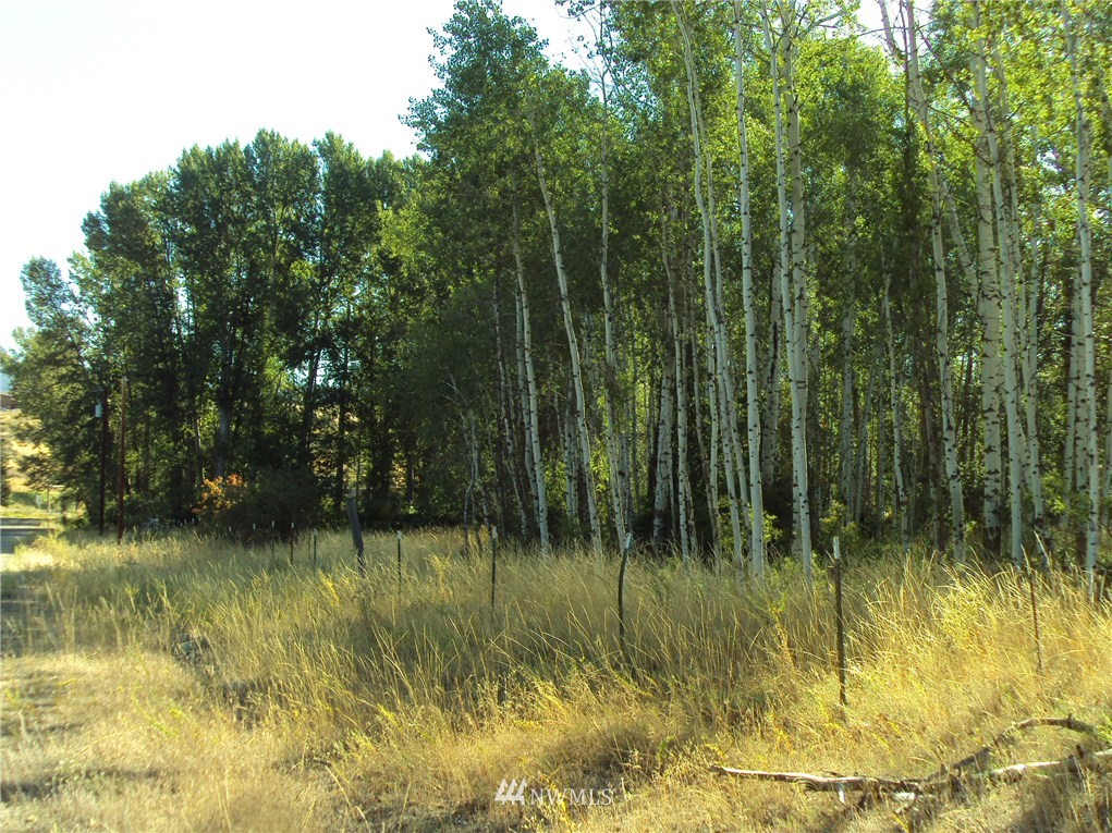 9 Rader Road Winthrop, WA 98862 - Photo 11 of 17 Gallery Image 11