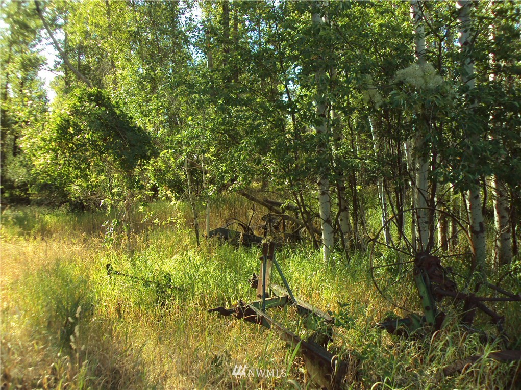 9 Rader Road Winthrop, WA 98862 - Photo 13 of 17 Gallery Image 13