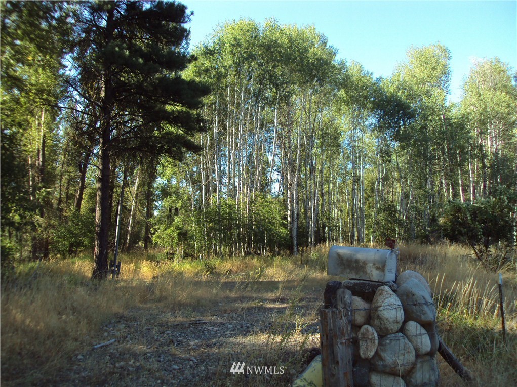 9 Rader Road Winthrop, WA 98862 - Photo 16 of 17 Gallery Image 16