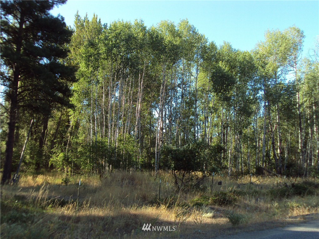 9 Rader Road Winthrop, WA 98862 - Photo 6 of 17 Gallery Image 6