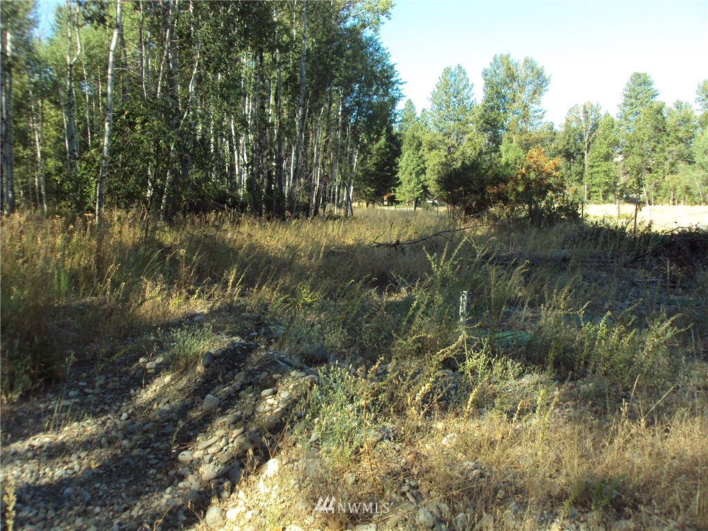 9 Rader Road Winthrop, WA 98862 - Photo 7 of 17 Gallery Image 7