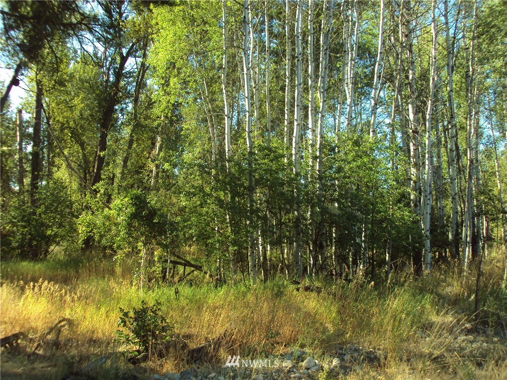 9 Rader Road Winthrop, WA 98862 - Photo 8 of 17 Gallery Image 8