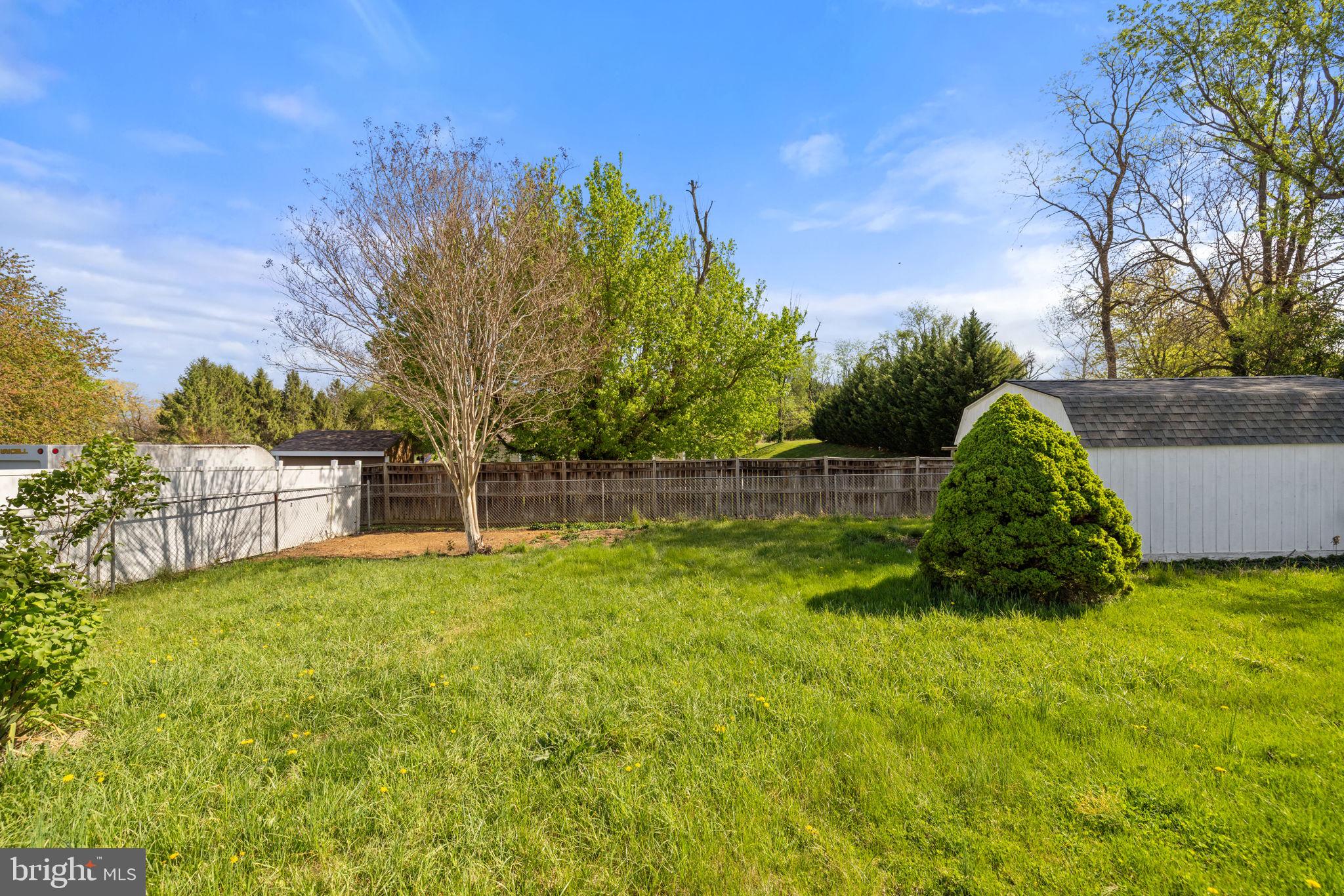 14983 Charles Town Road Charles Town, WV 25414 - Photo 51 of 80 a view of backyard with tree